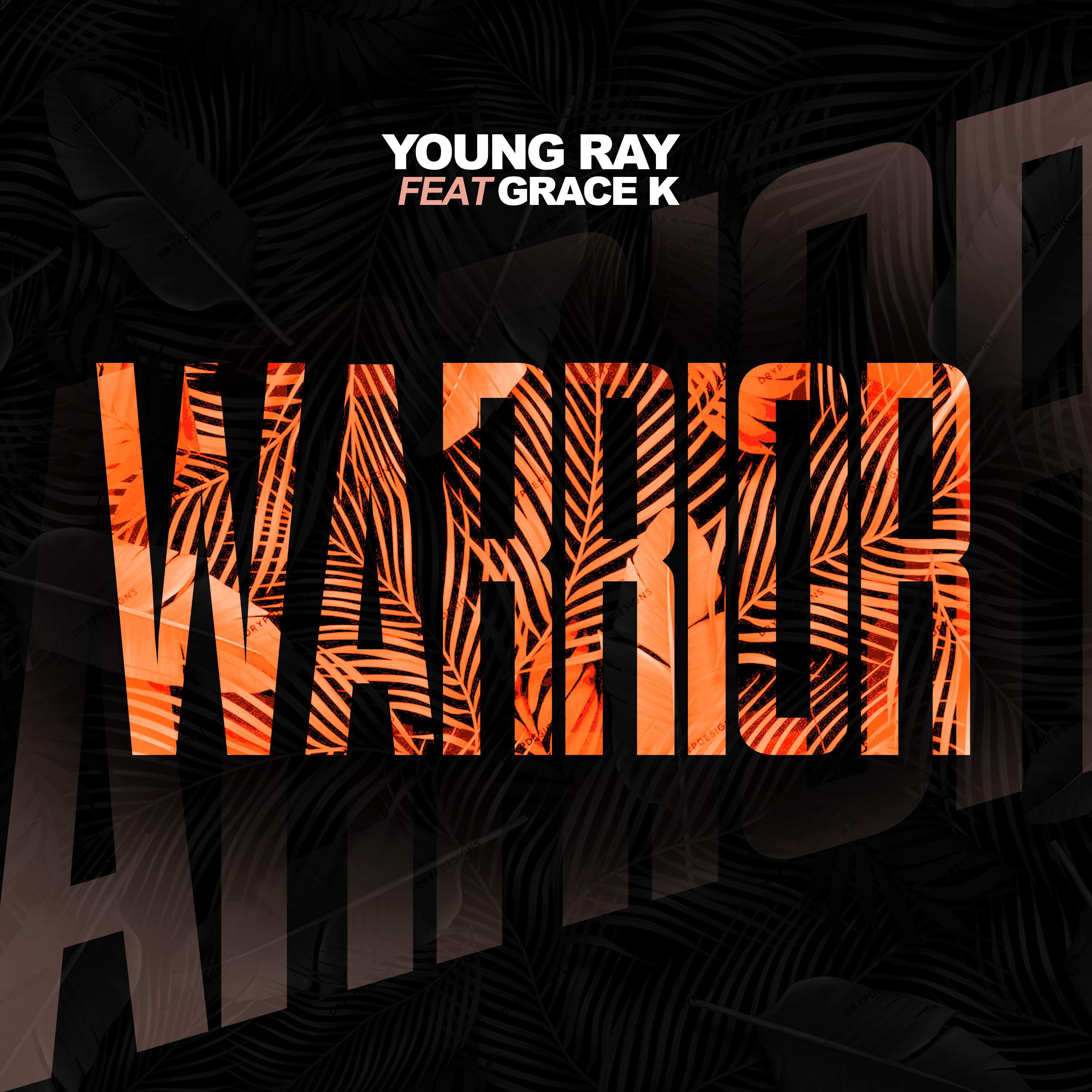 Постер альбома Warrior (feat. Grace k)