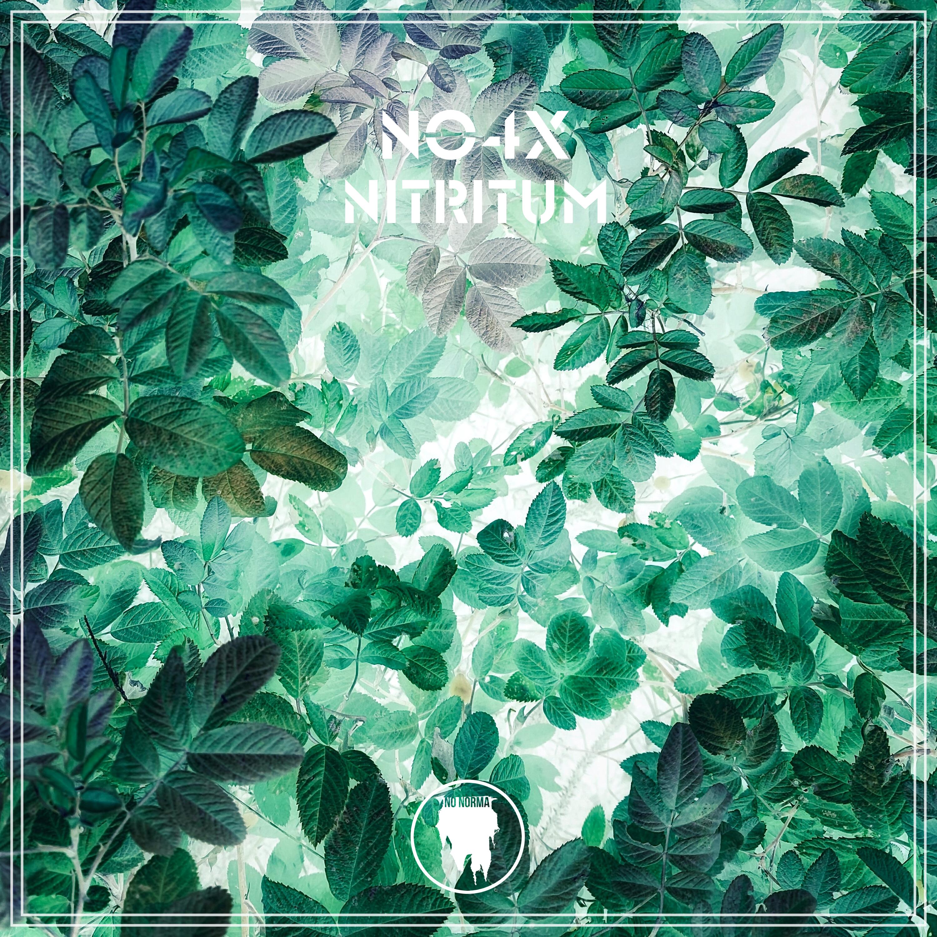 Постер альбома NITRITUM