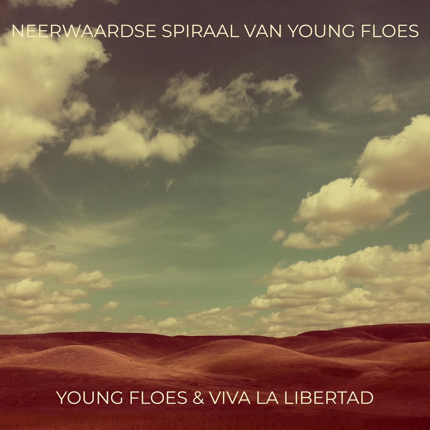 Постер альбома Neerwaardse Spiraal Van Young Floes
