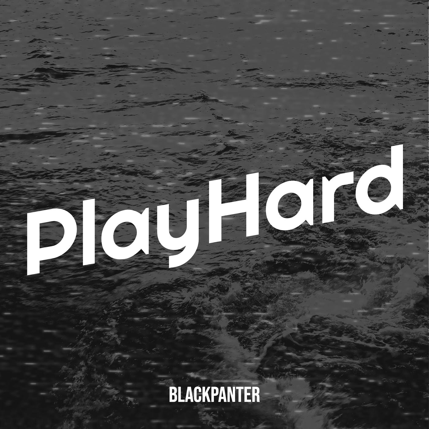 Постер альбома PlayHard