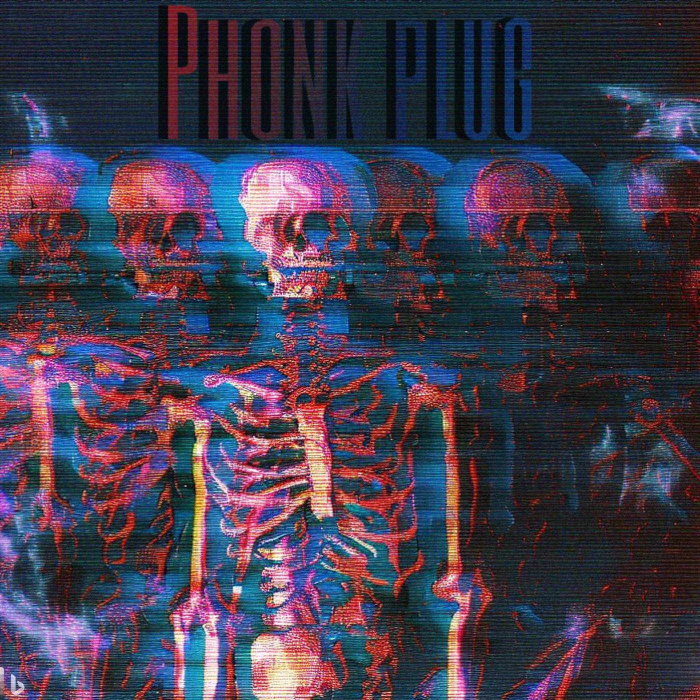 Постер альбома Phonk Plug