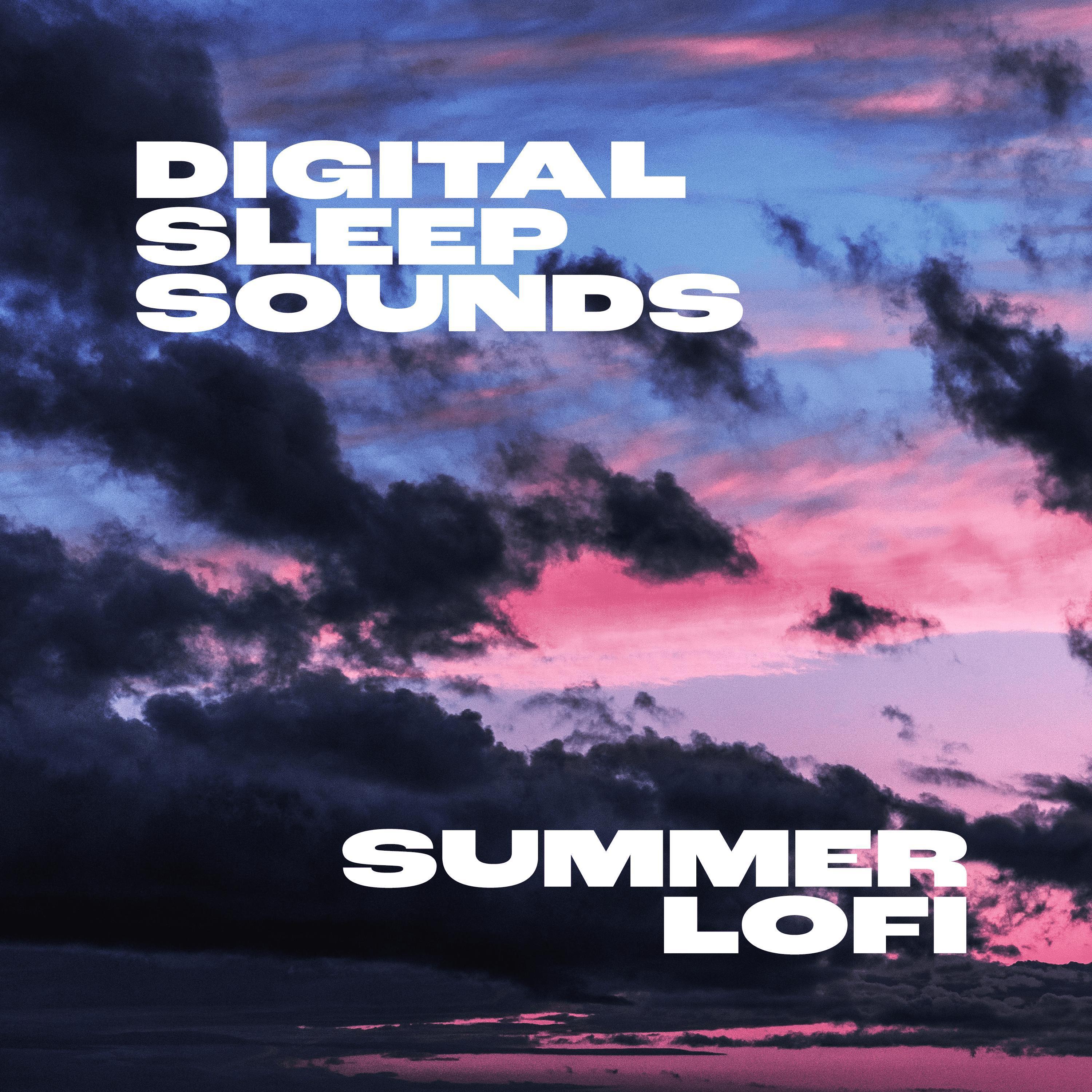 Постер альбома Summer Lofi (feat. Adam Stoner)