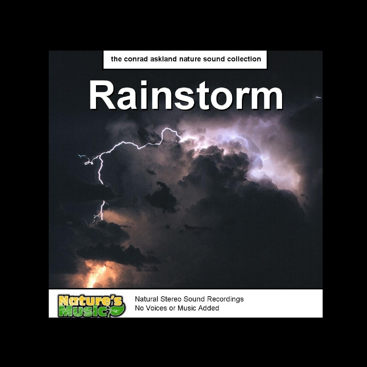 Постер альбома Rain Storm Nature Sounds