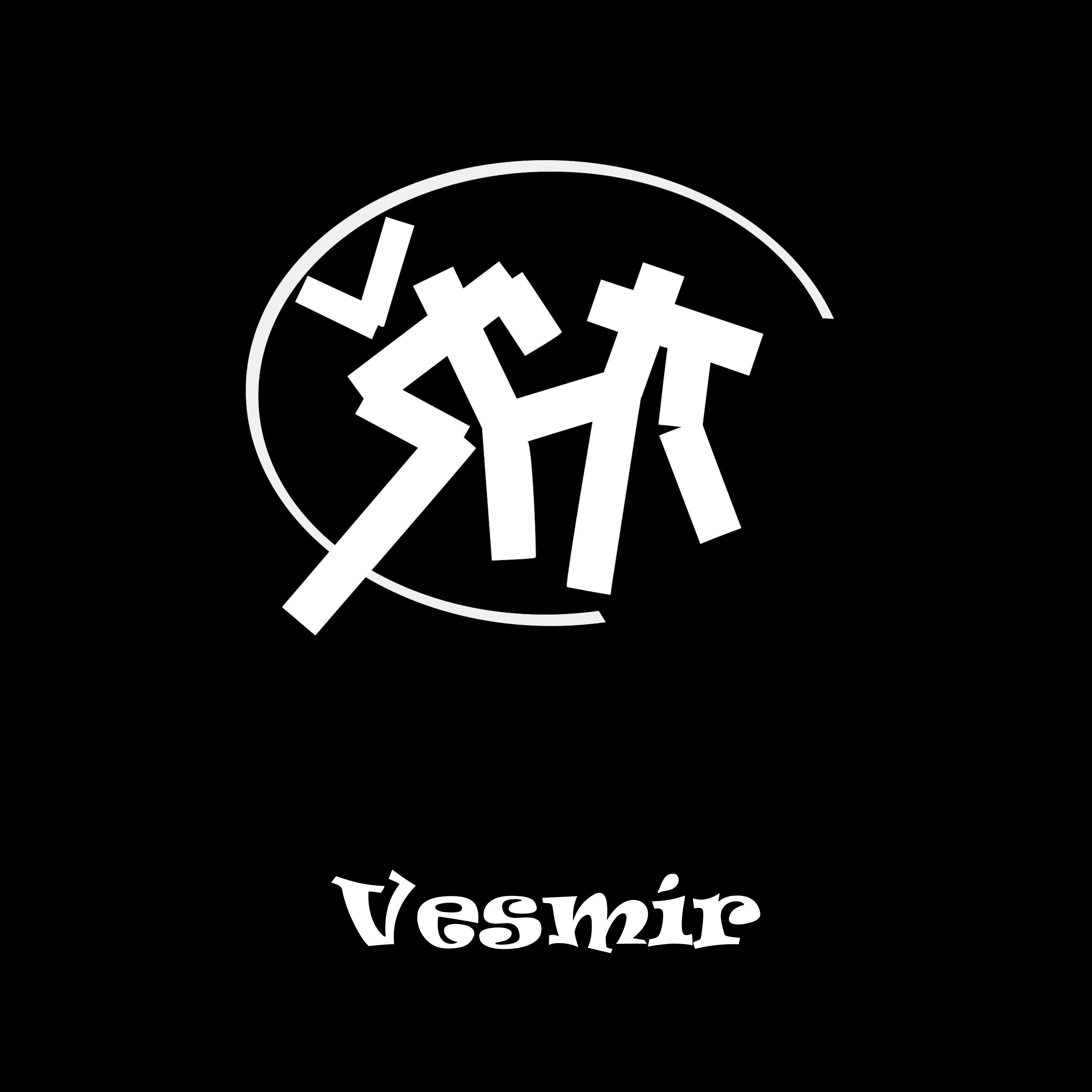 Постер альбома Vesmír