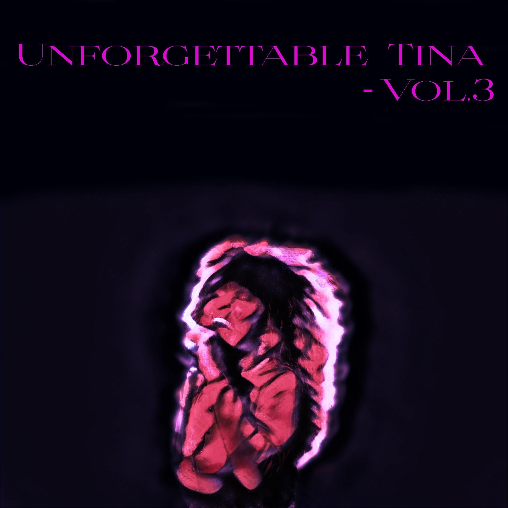 Постер альбома Unforgettable Tina - , Vol. 3