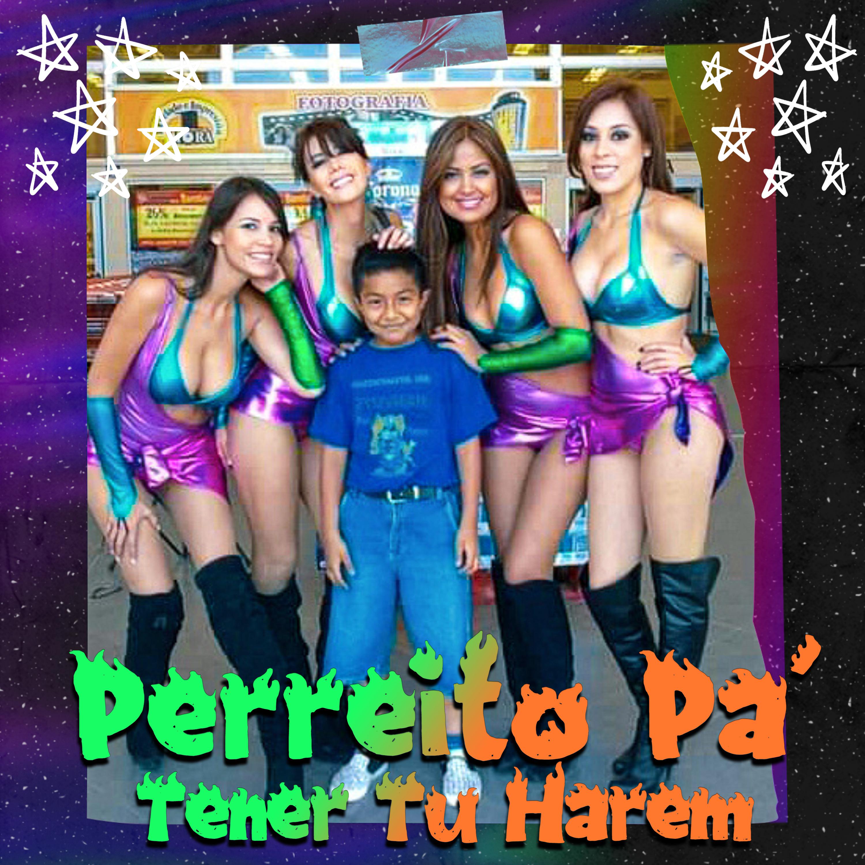 Постер альбома Perreito Pa' Tener Tu Harem