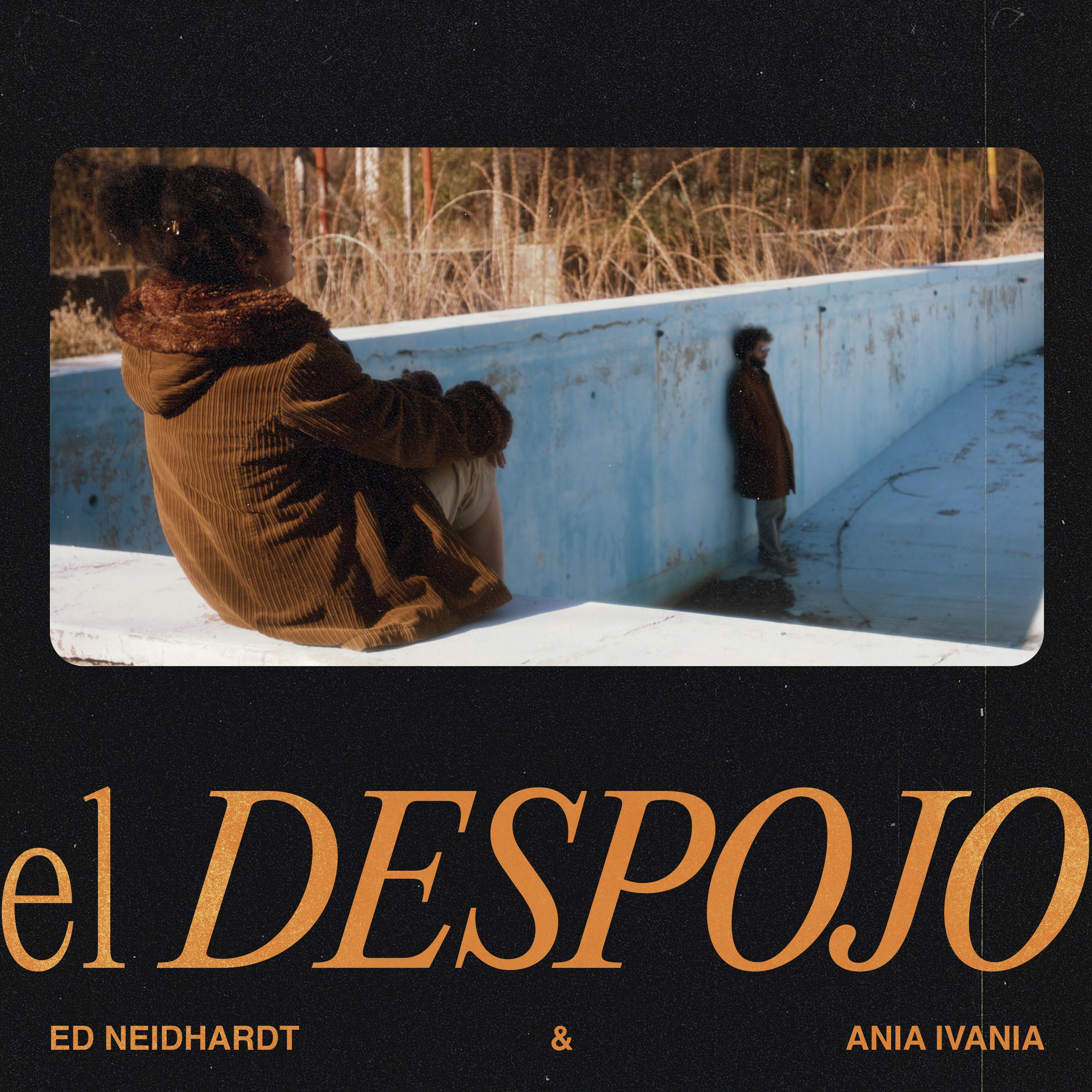 Постер альбома El Despojo