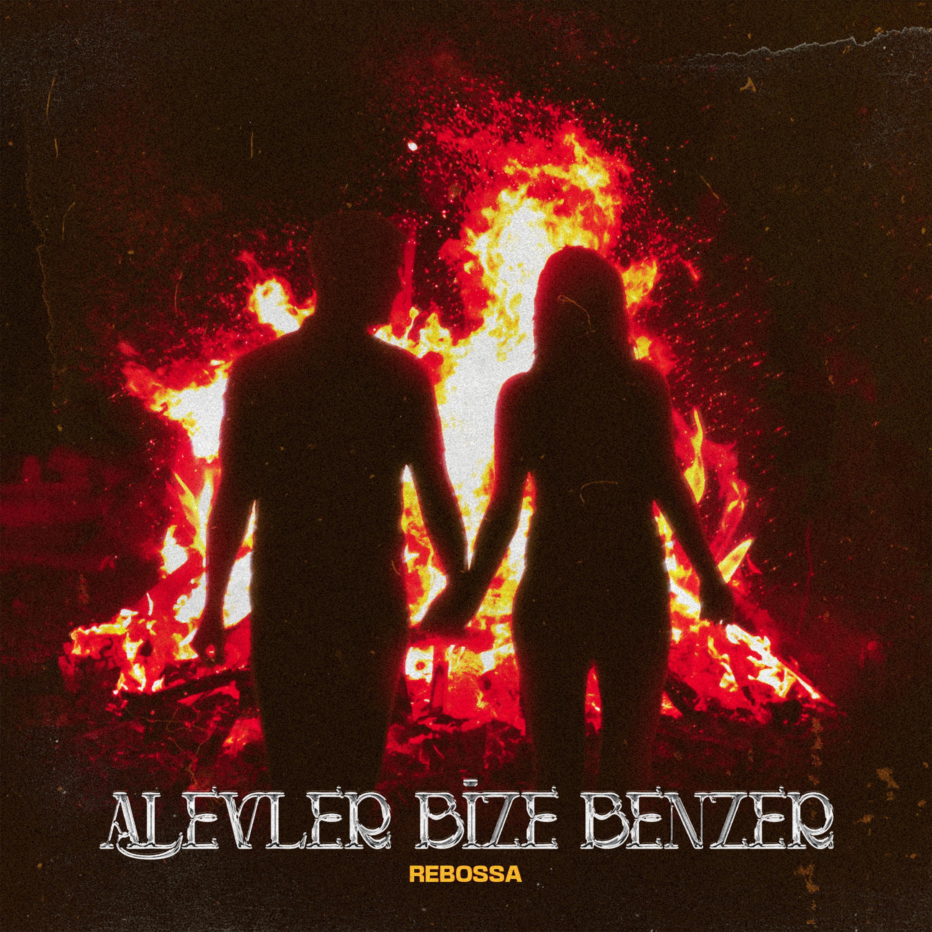 Постер альбома Alevler Bize Benzer