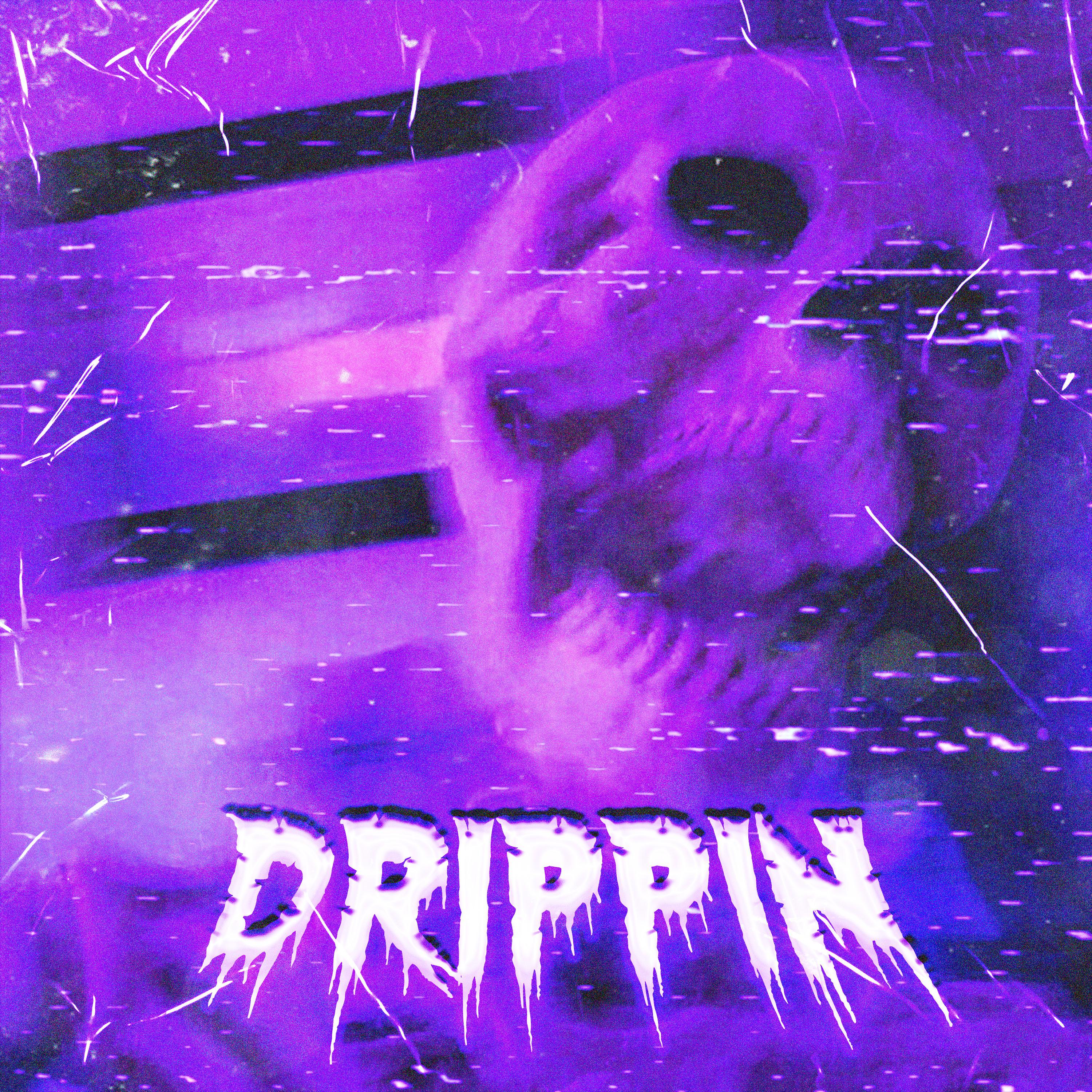 Постер альбома DRIPPIN
