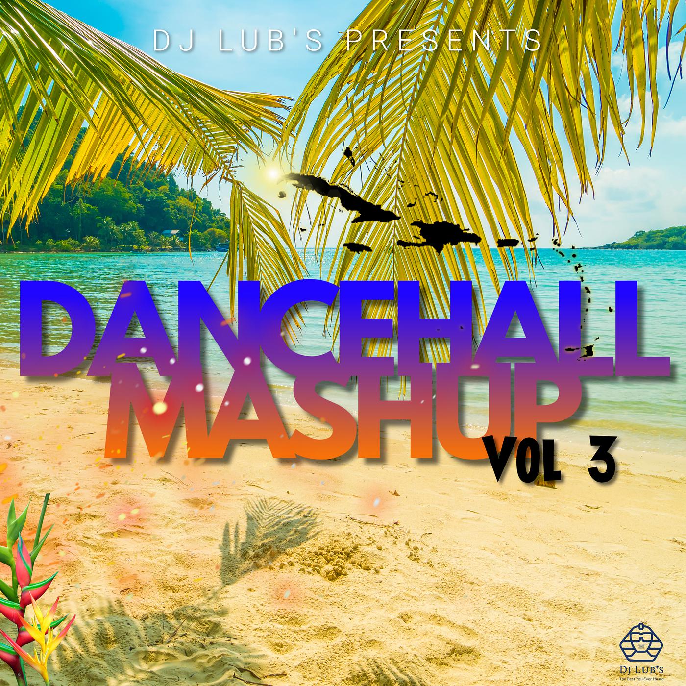 Постер альбома Dancehall Mashup Vol 3