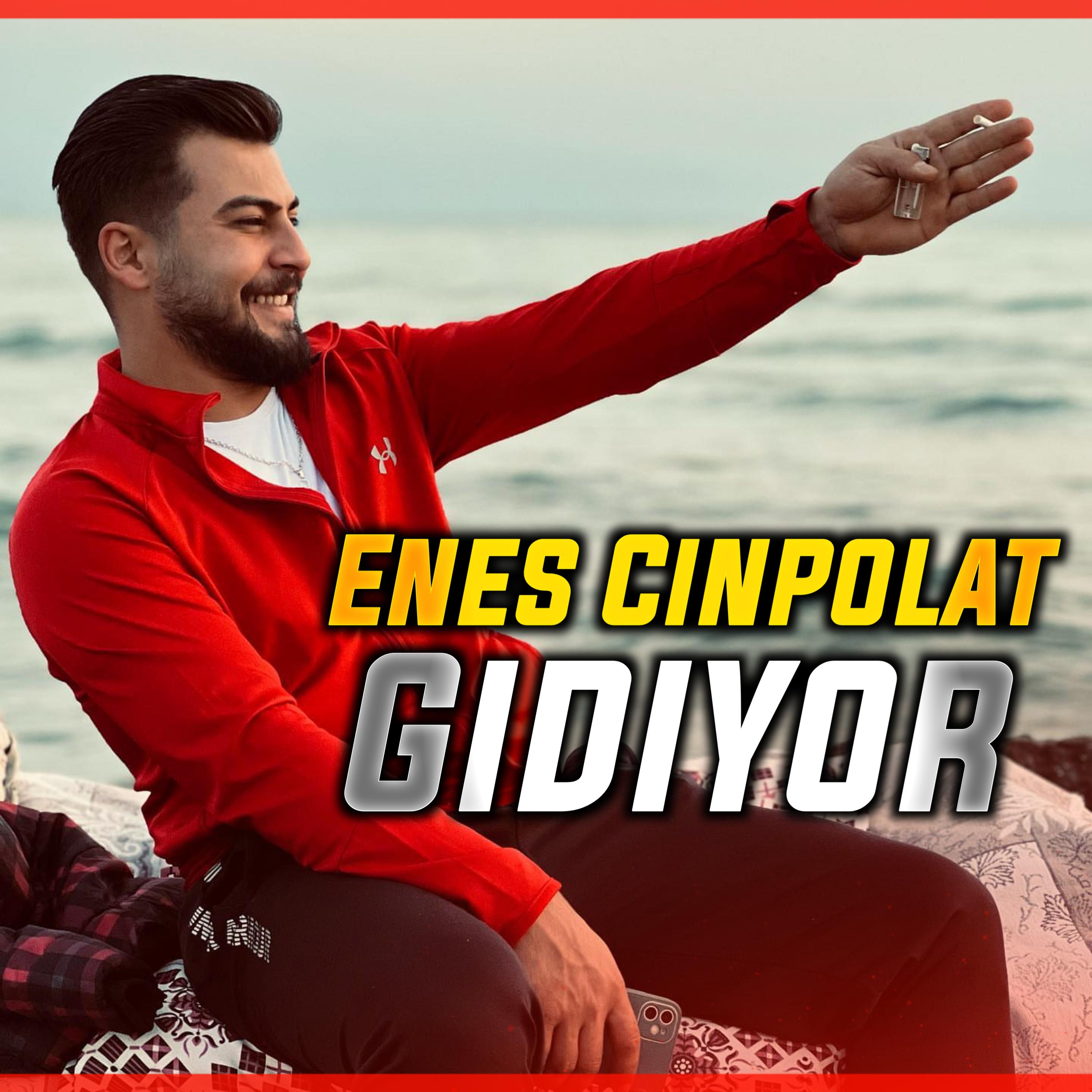 Постер альбома Gidiyor