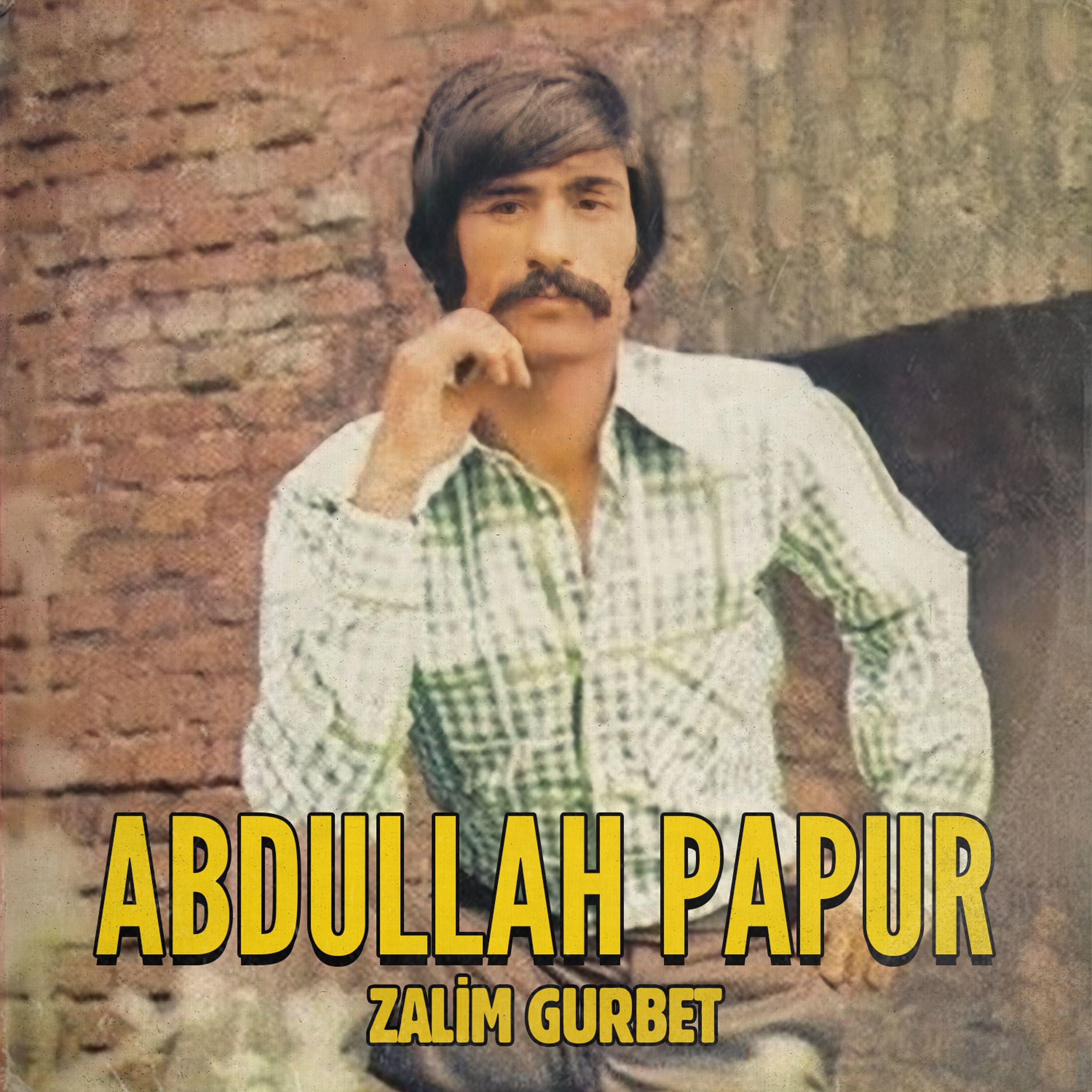 Постер альбома Zalim Gurbet