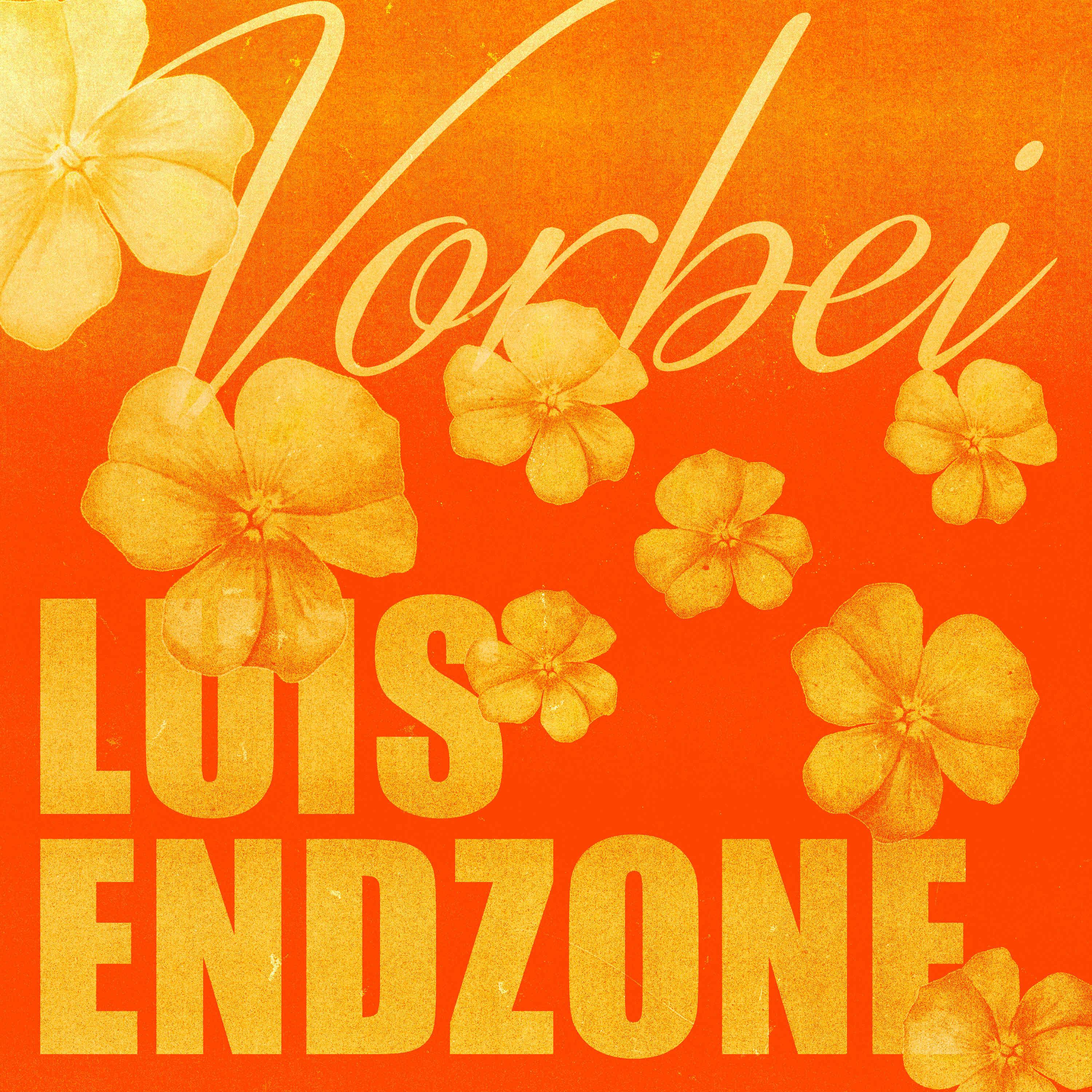 Постер альбома VORBEI
