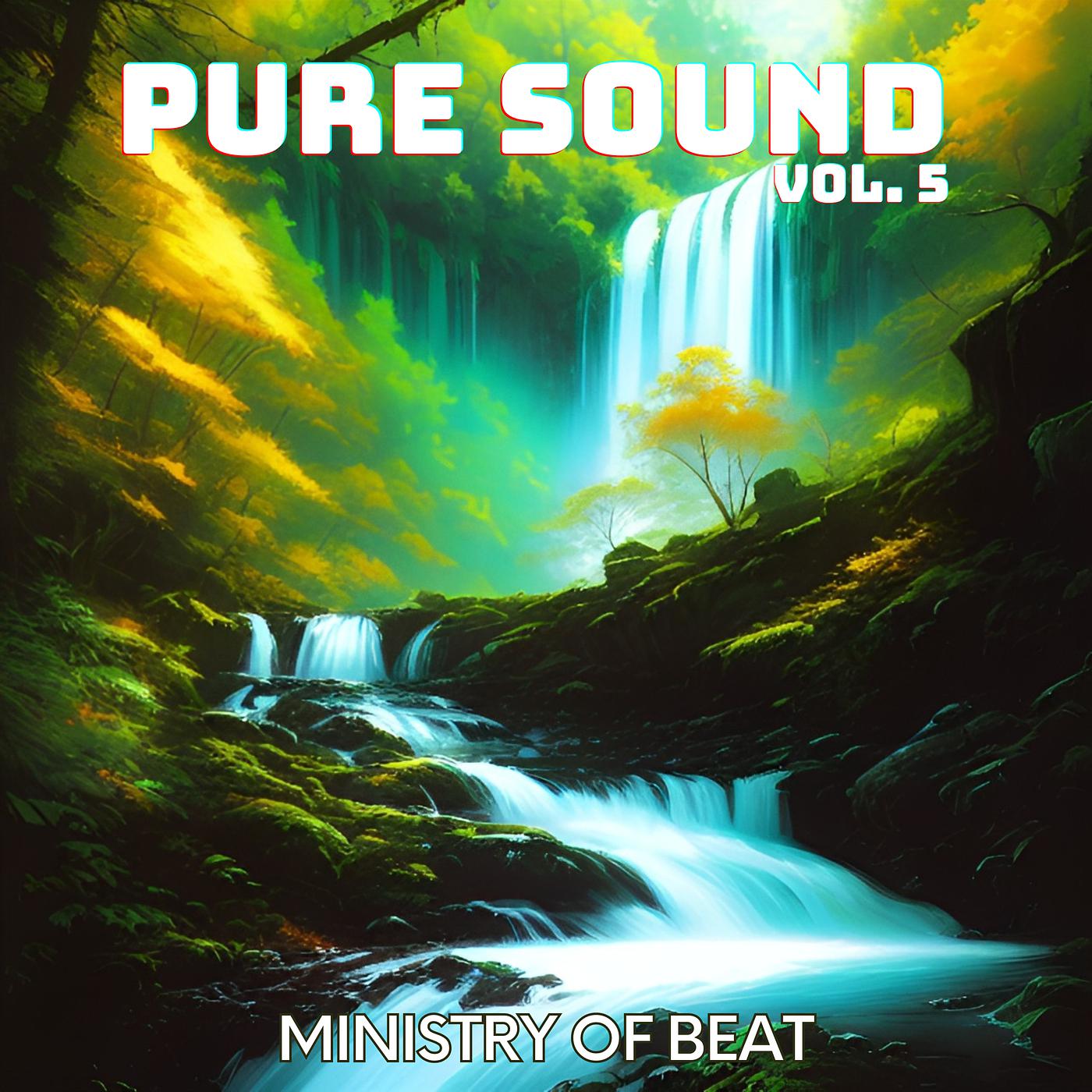 Постер альбома Pure Sound, Vol. 5