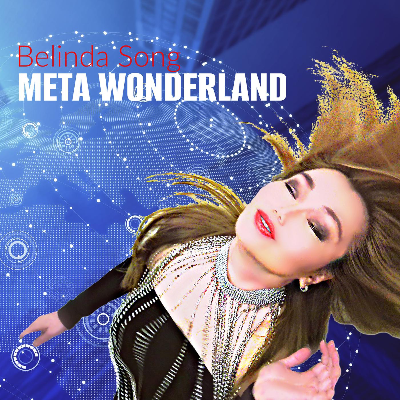 Постер альбома Meta Wonderland