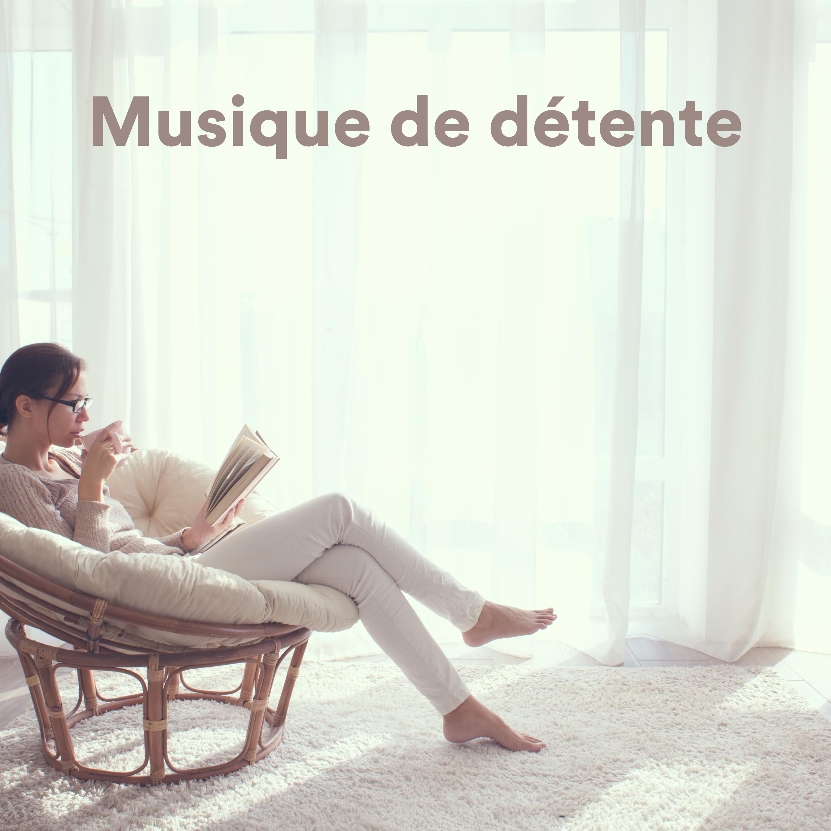 Постер альбома Musique de détente