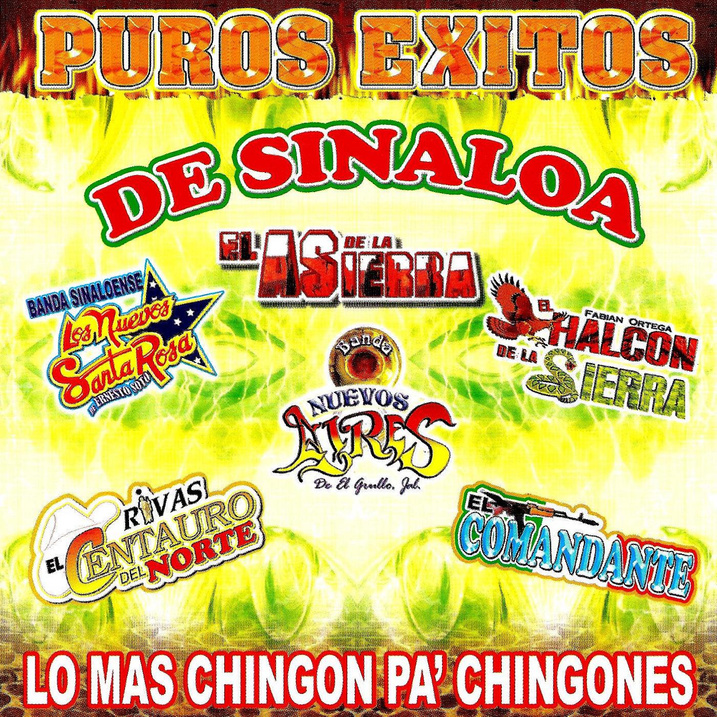 Постер альбома Puros Exitos De Sinaloa