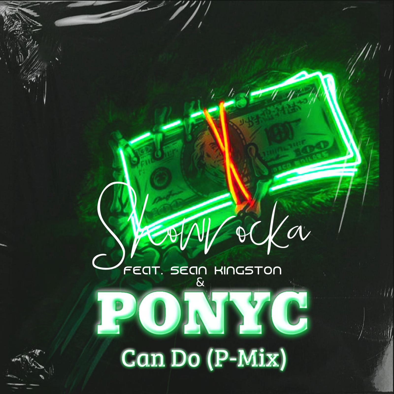 Постер альбома Can Do (P-Mix) (feat. Sean Kingston & Ponyc)