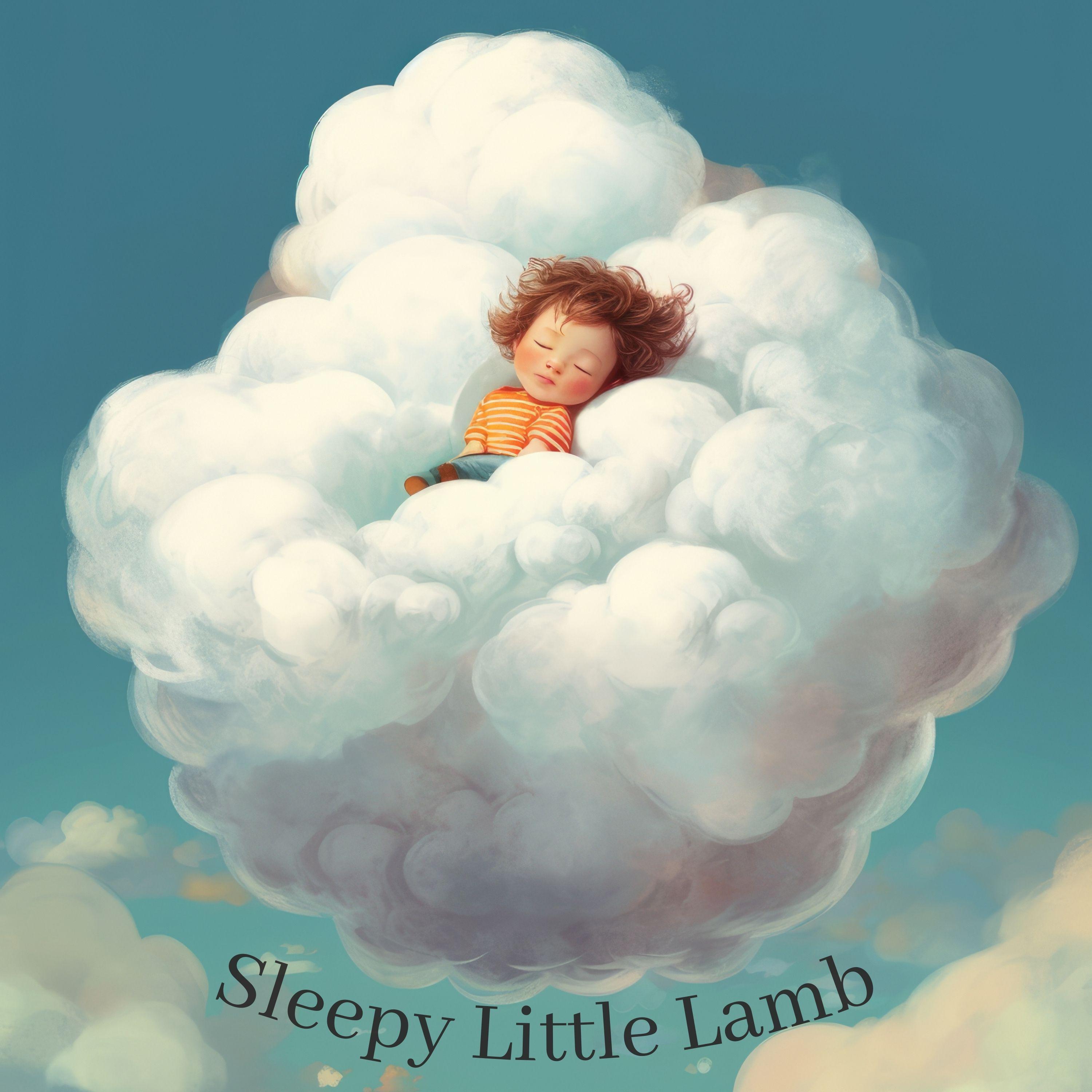 Постер альбома Sleepy Little Lamb
