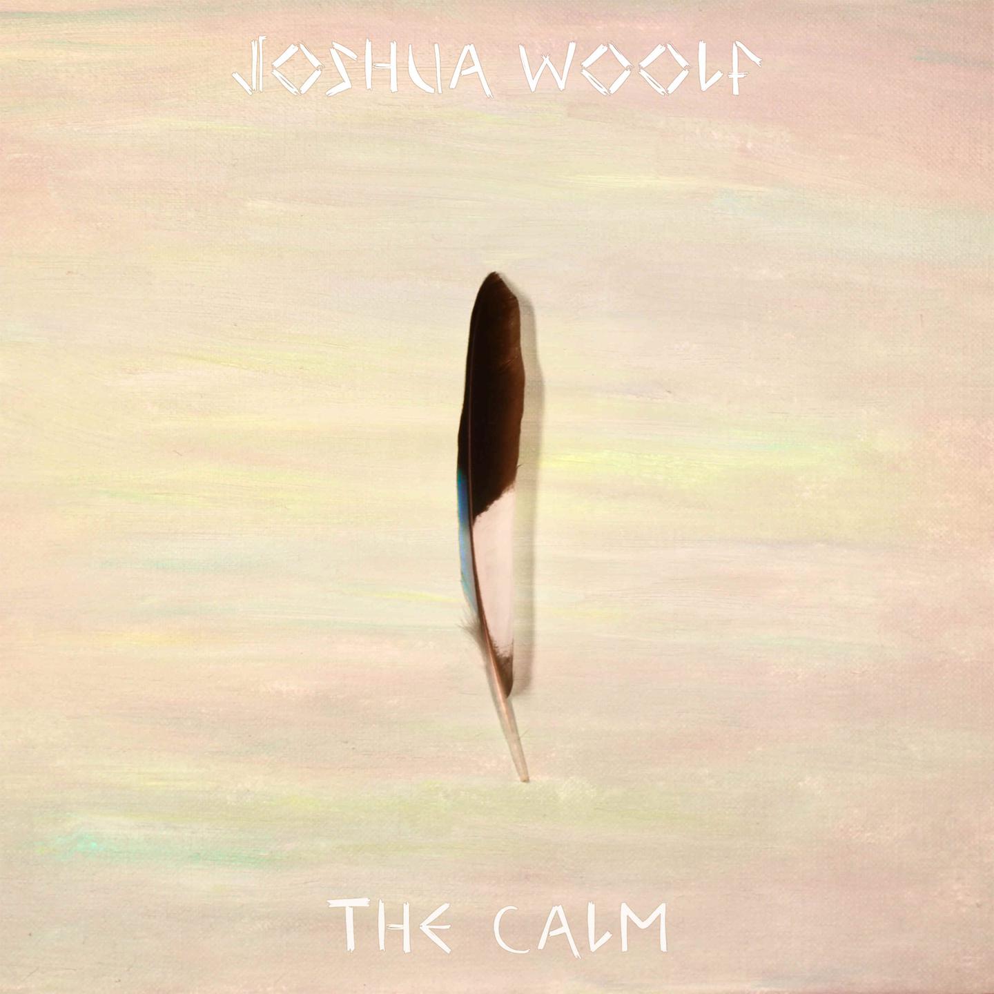 Постер альбома The Calm