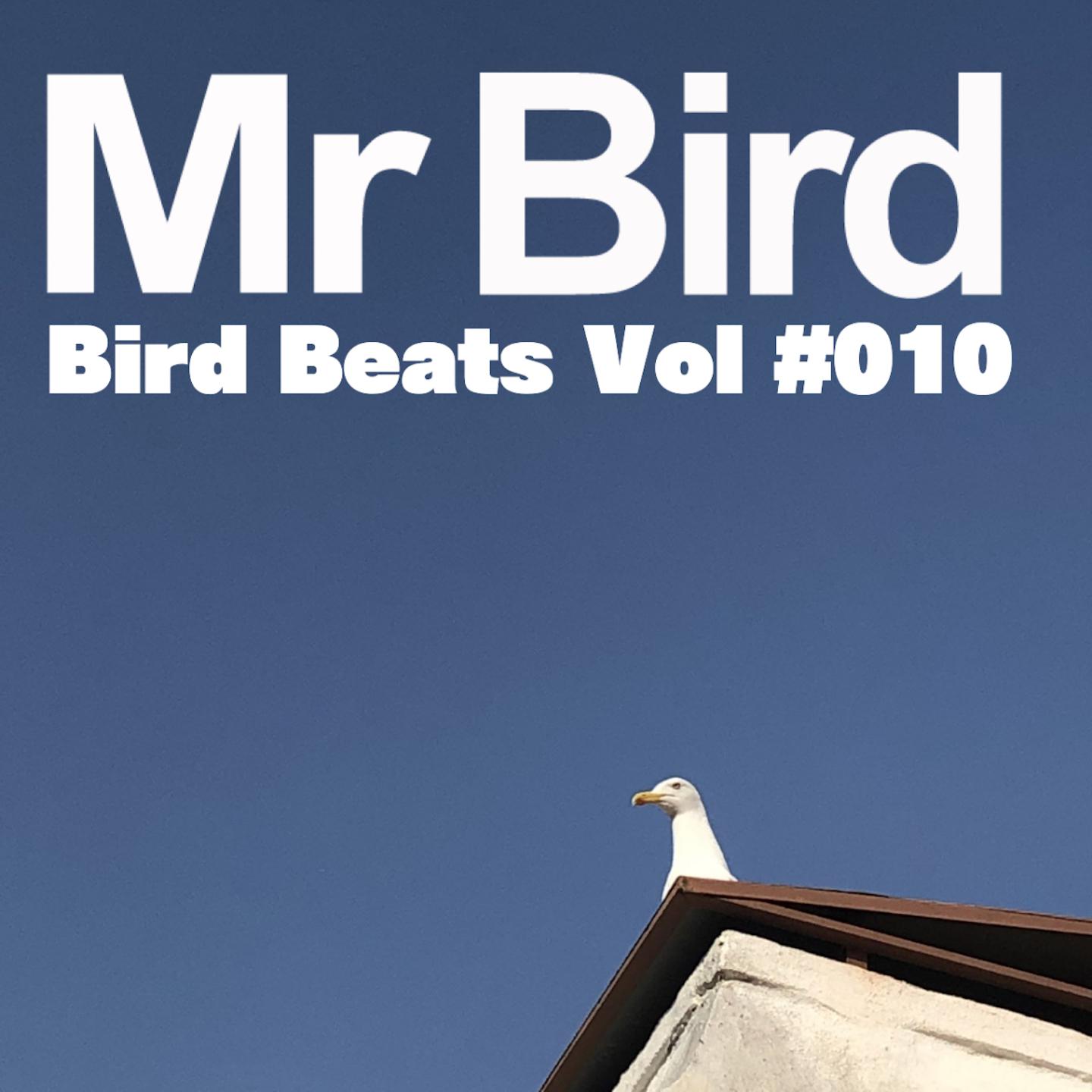 Постер альбома Bird Beats Vol #010