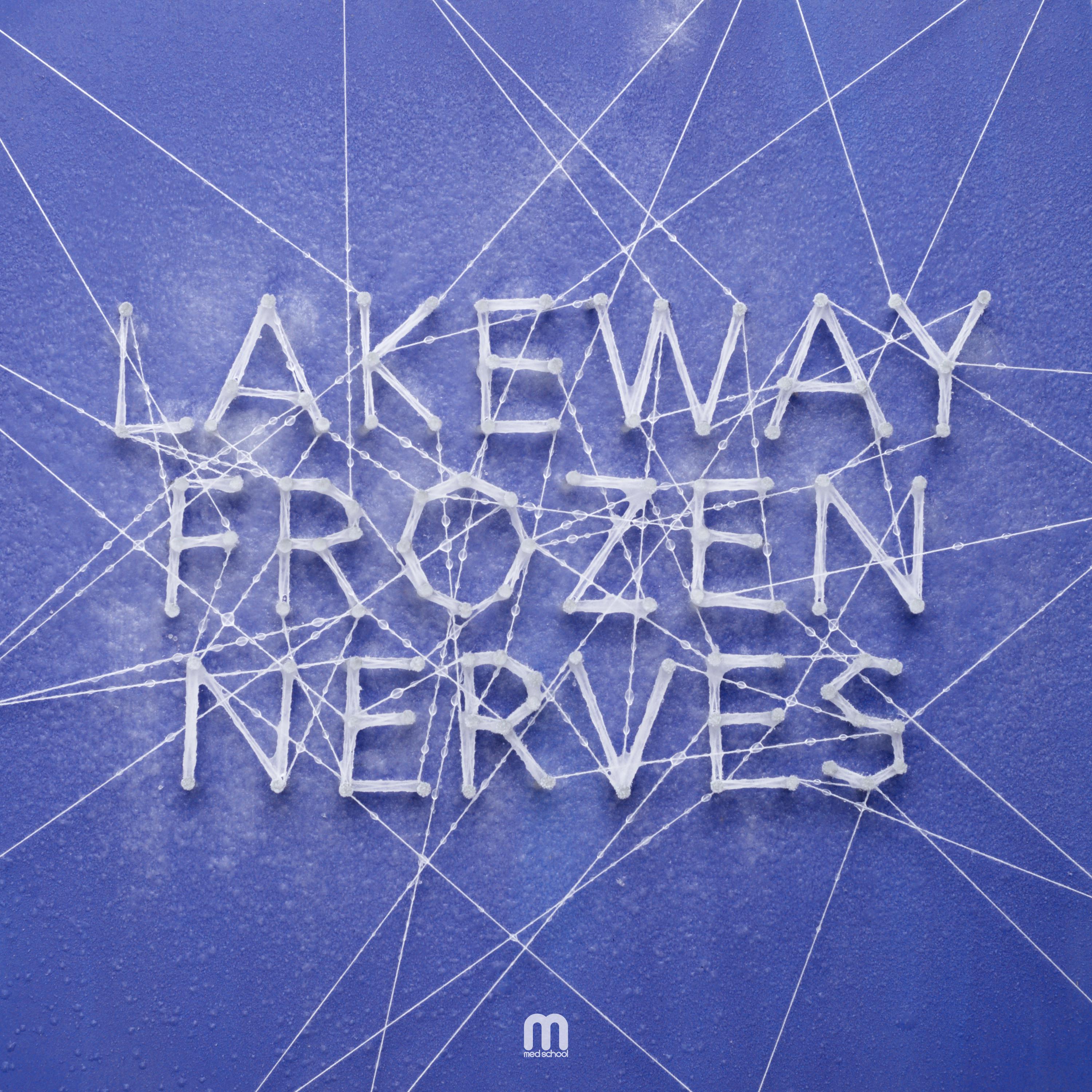 Постер альбома Frozen Nerves - EP