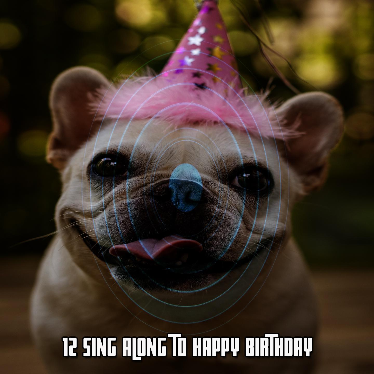 Постер альбома 12 Sing Along To Happy Birthday
