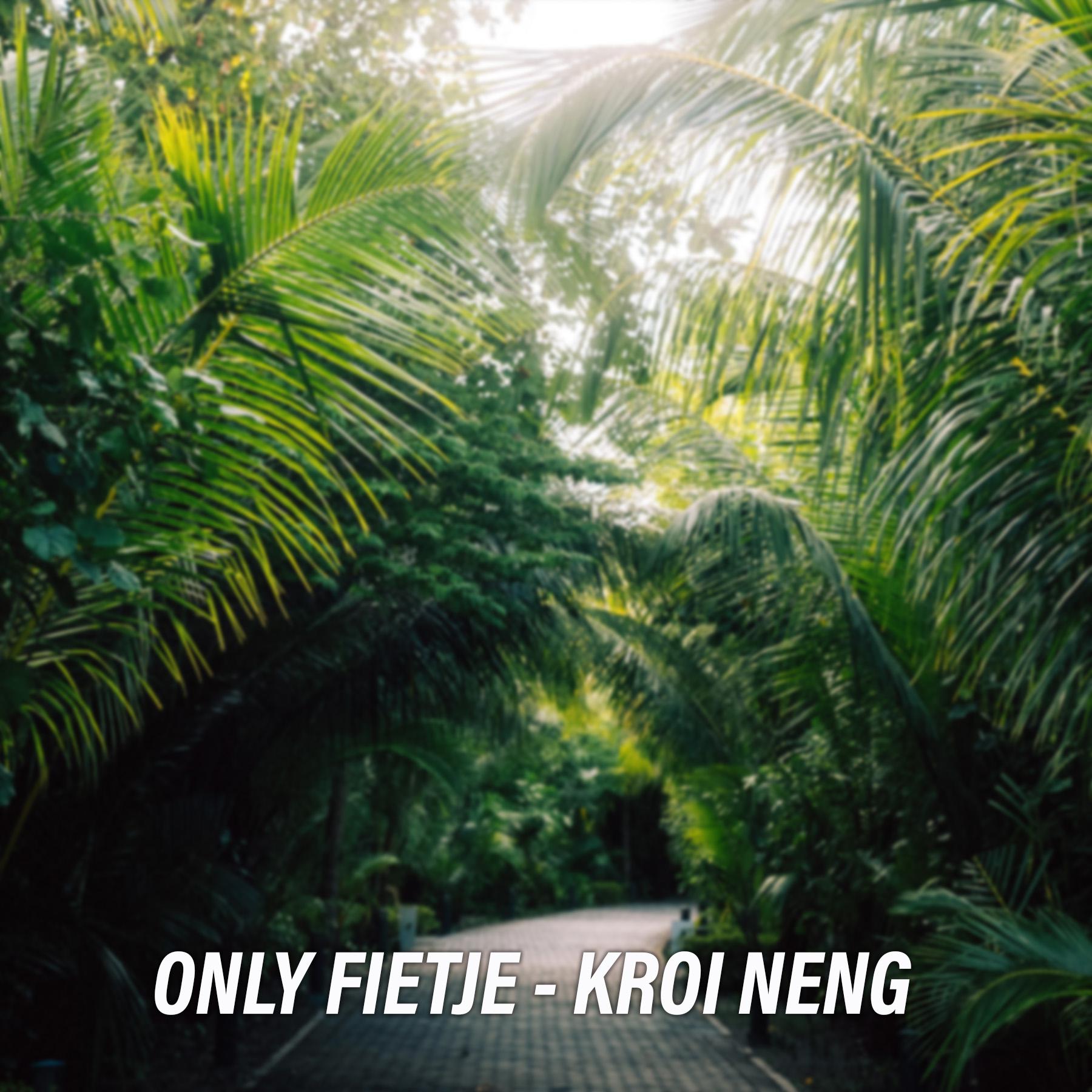 Постер альбома Kroi Neng
