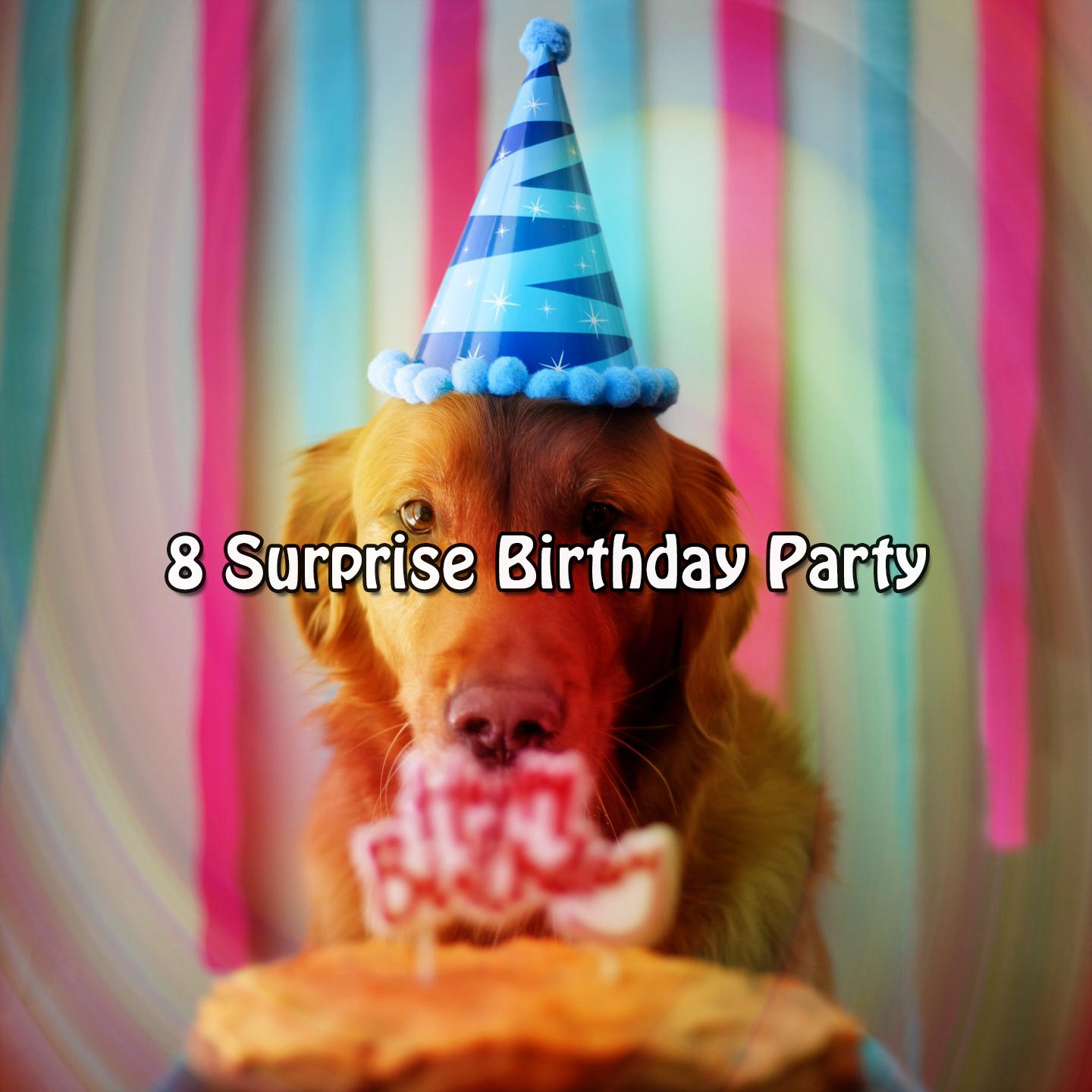 Постер альбома 8 Surprise Birthday Party