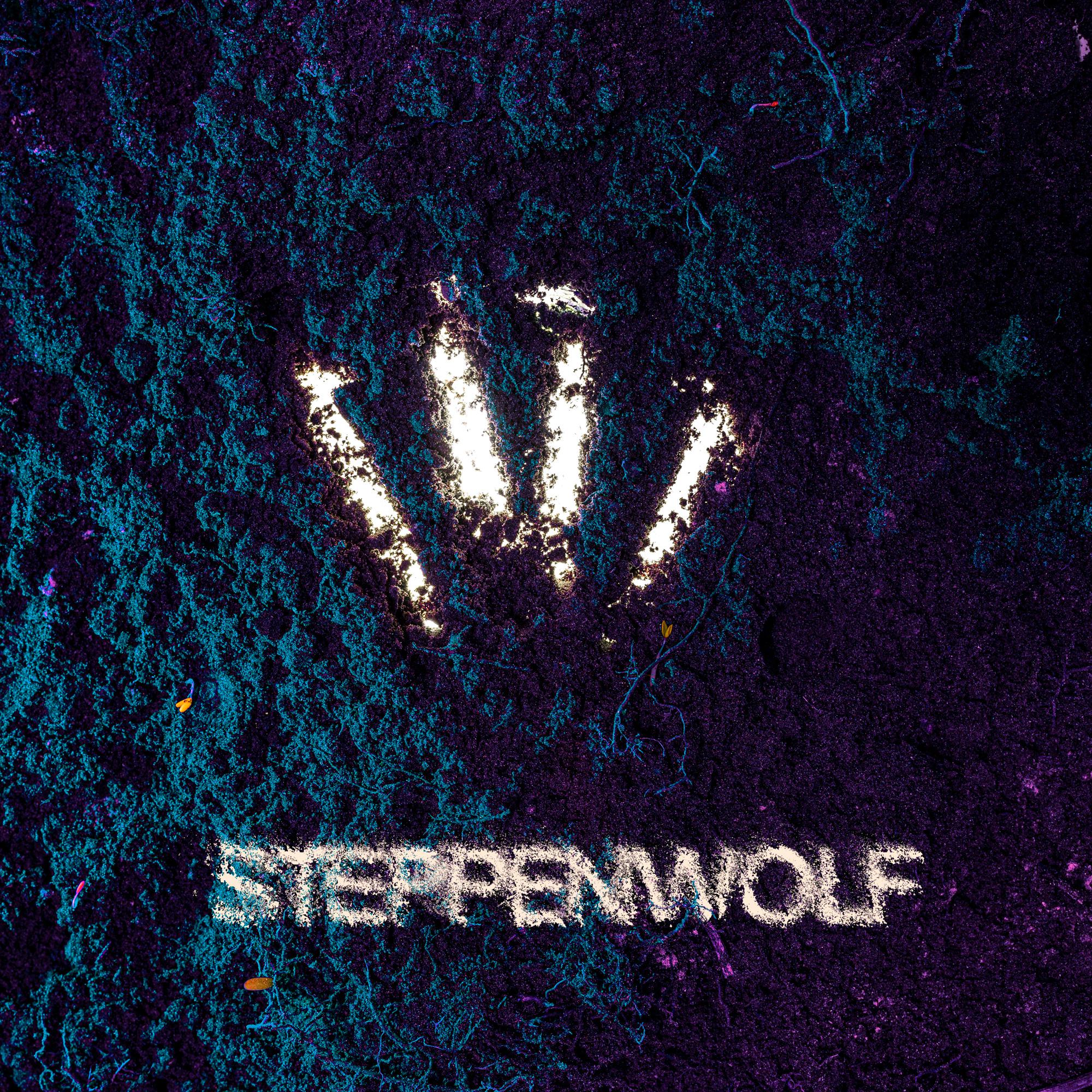 Постер альбома Steppenwolf