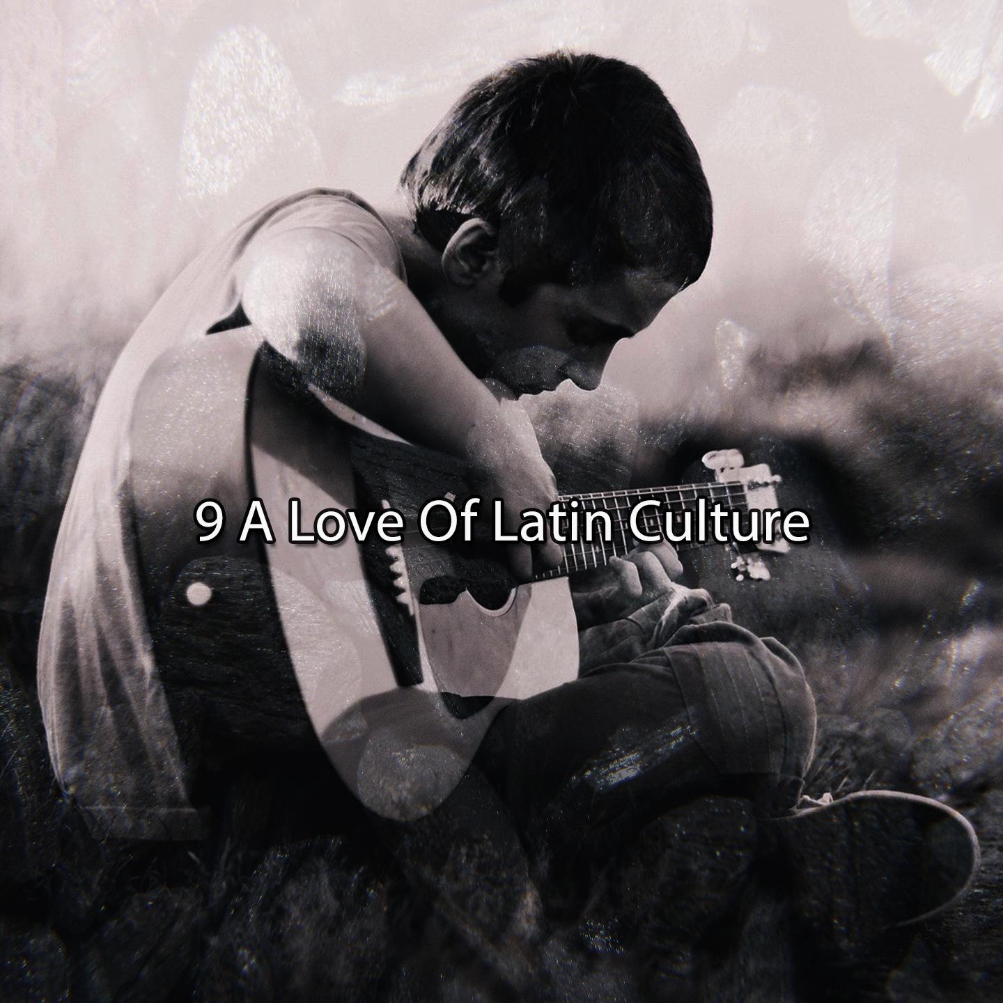 Постер альбома 9 A Love Of Latin Culture