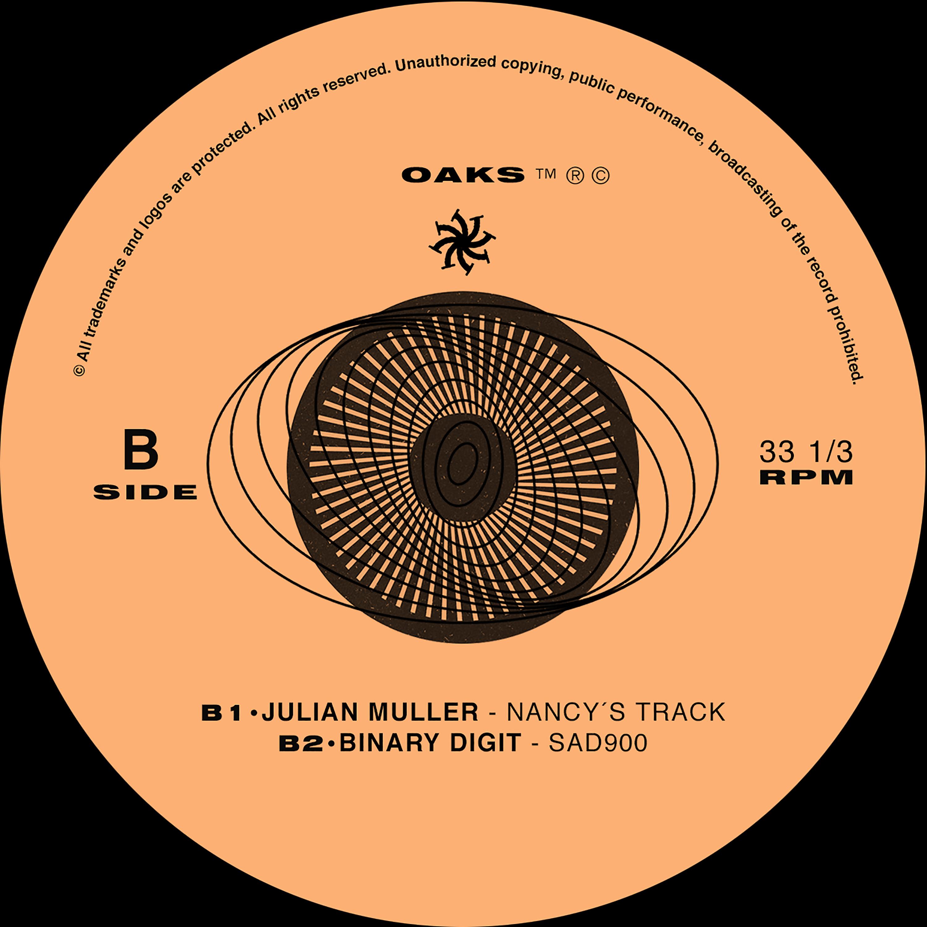 Постер альбома Nancy's Track