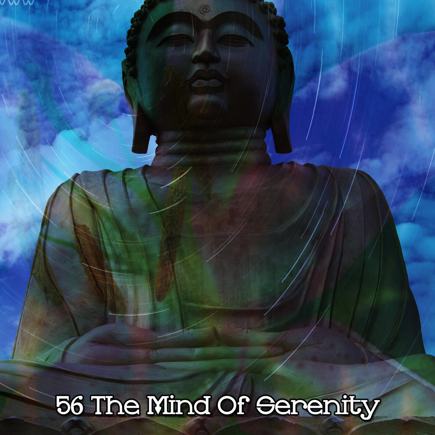 Постер альбома 56 The Mind Of Serenity