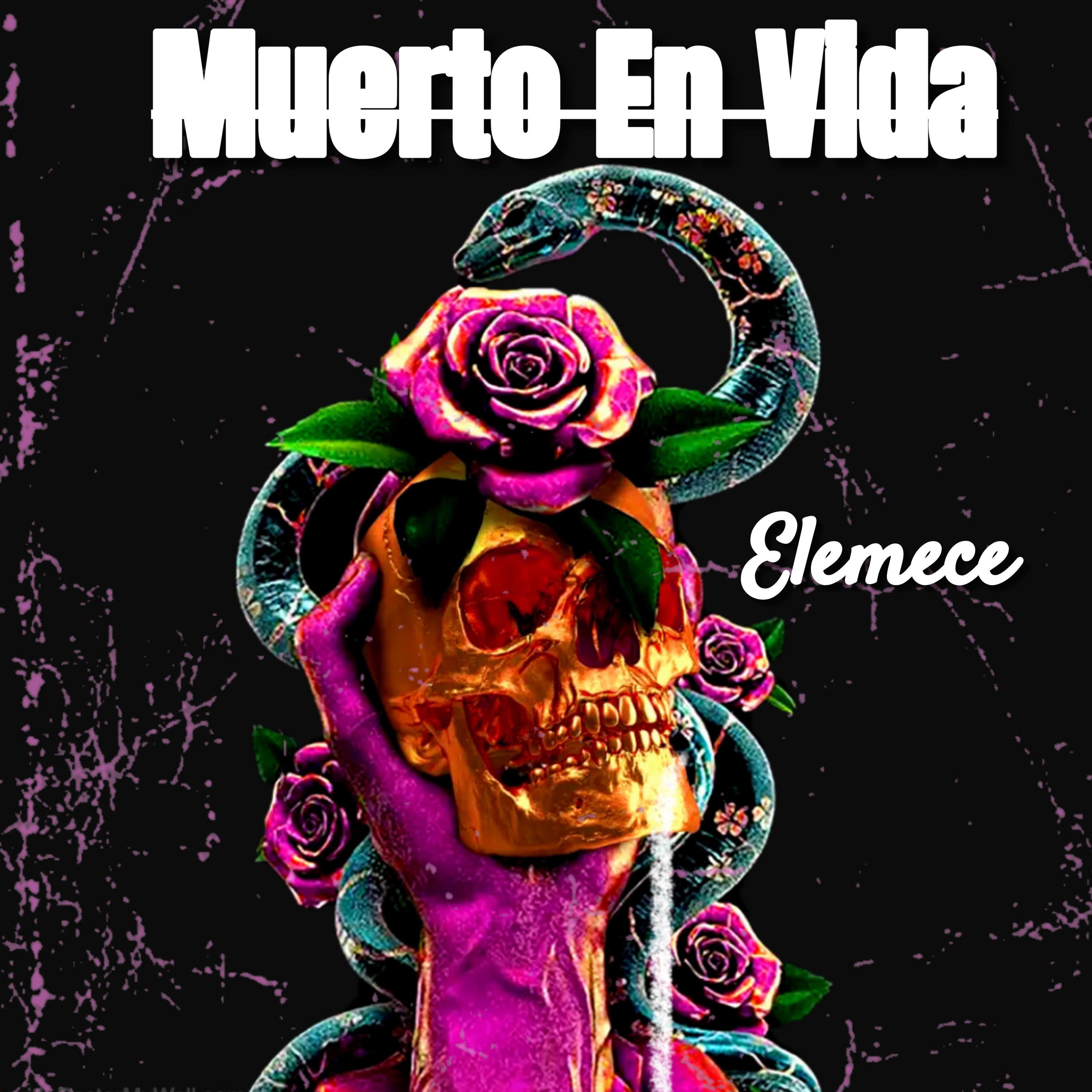 Постер альбома Muerto en Vida