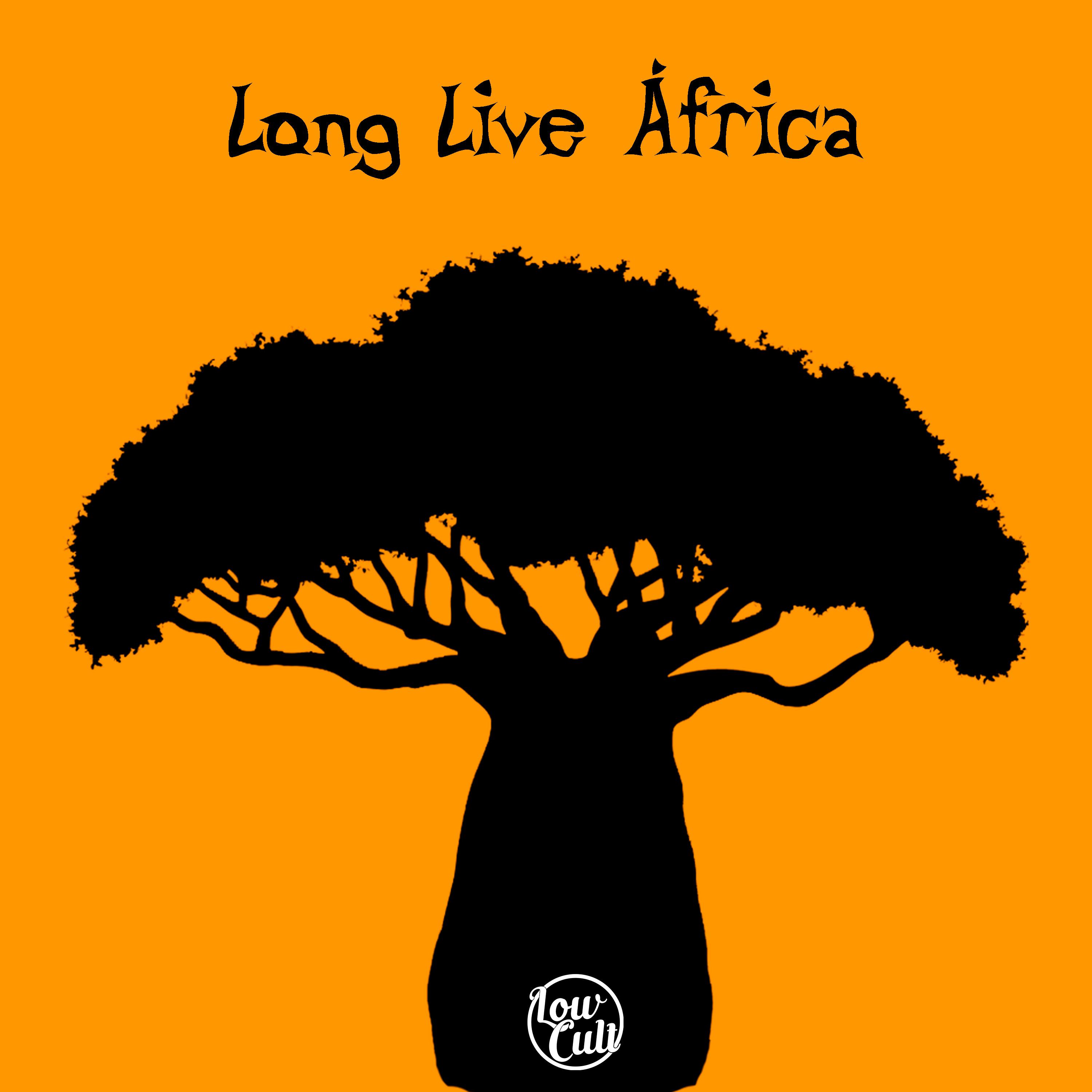Постер альбома Long Live Africa