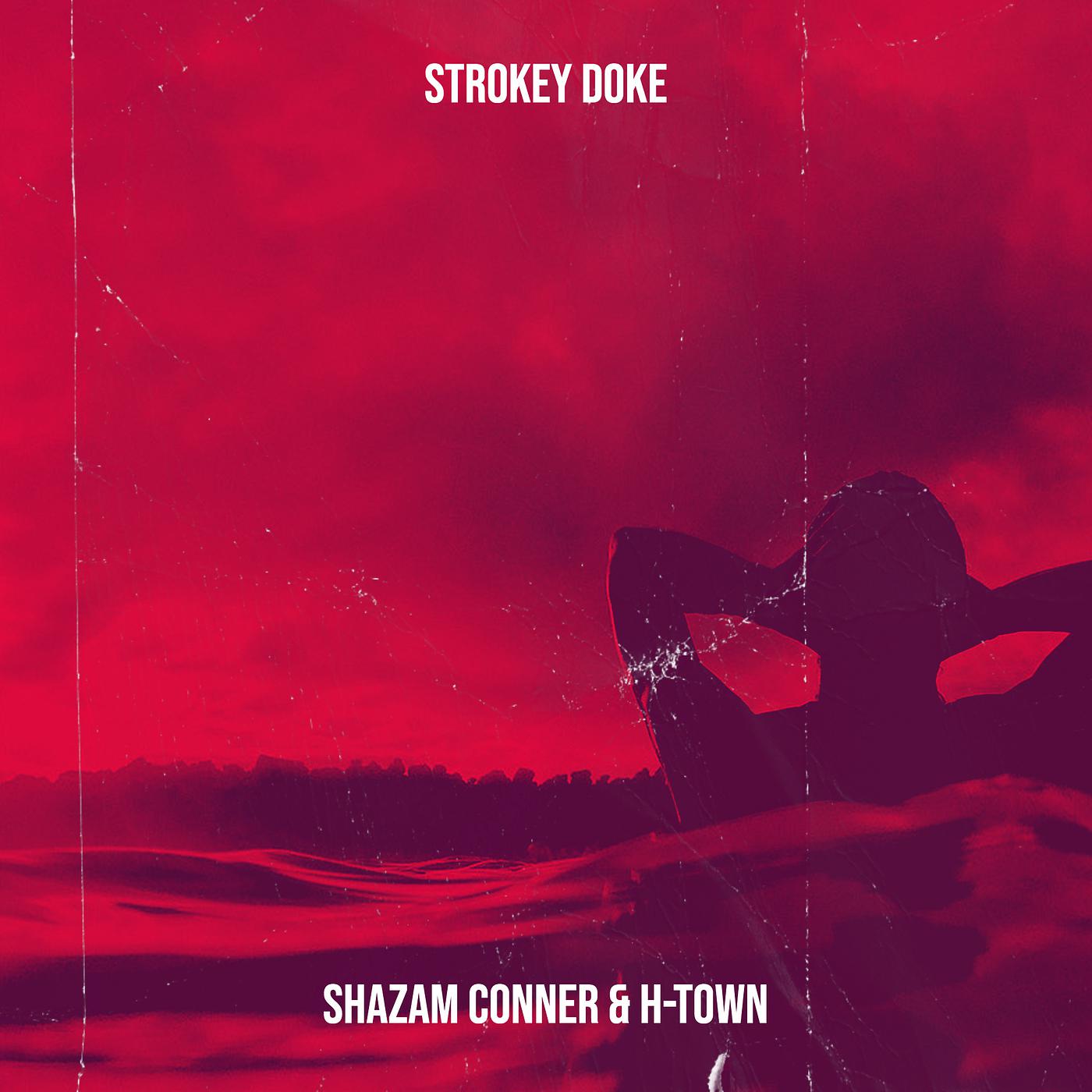 Постер альбома Strokey Doke