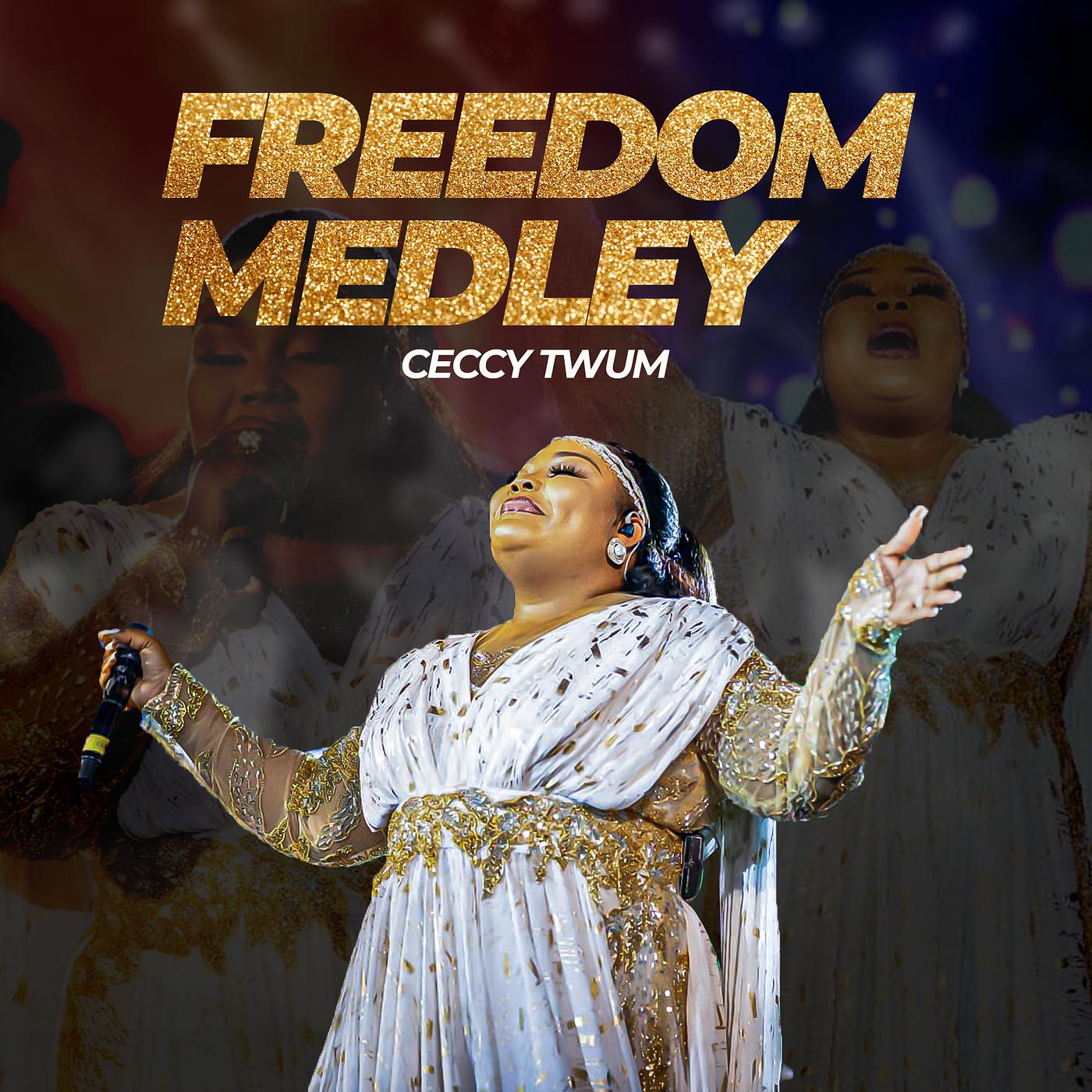 Постер альбома Freedom Medley