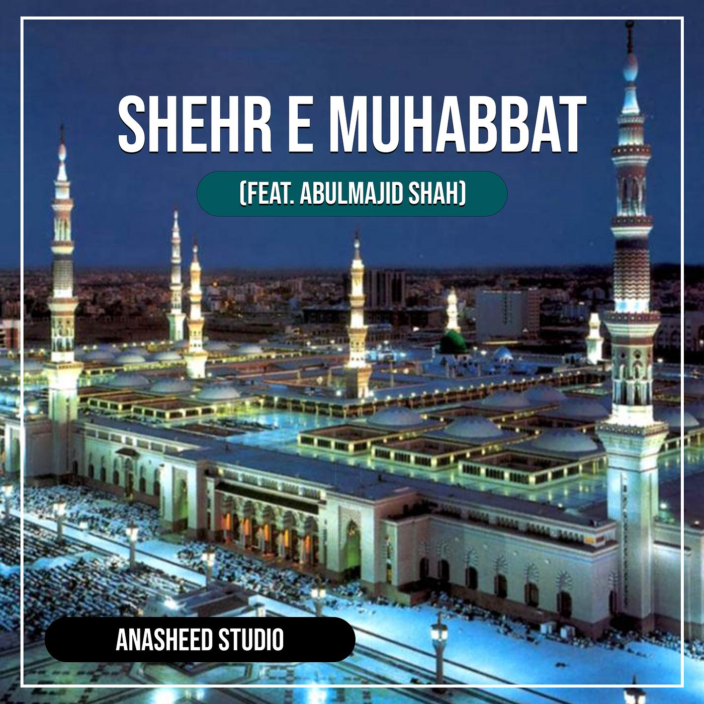 Постер альбома Shehr E Muhabbat