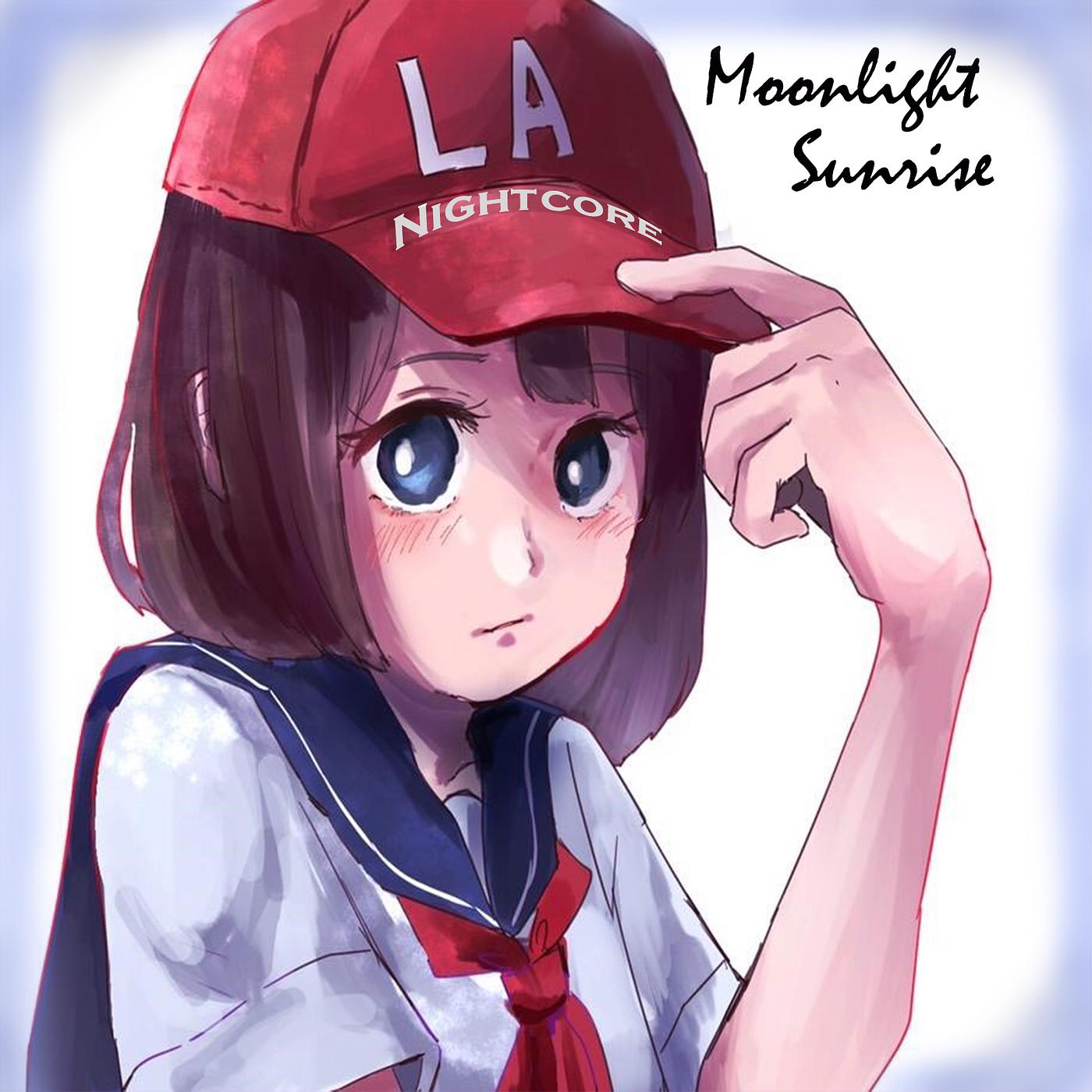 Постер альбома Moonlight Sunrise