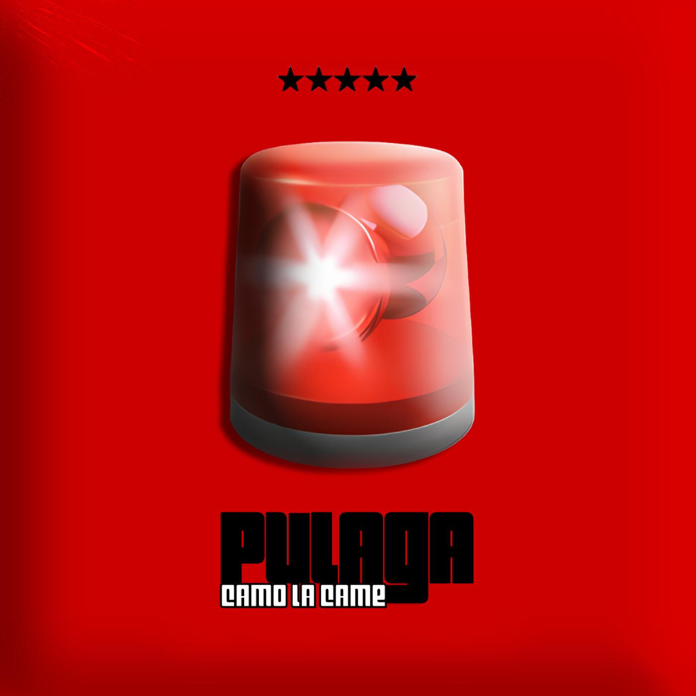 Постер альбома Pulaga