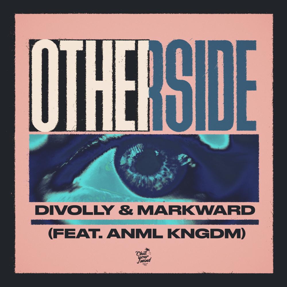 Постер альбома Otherside (feat. ANML KNGDM)