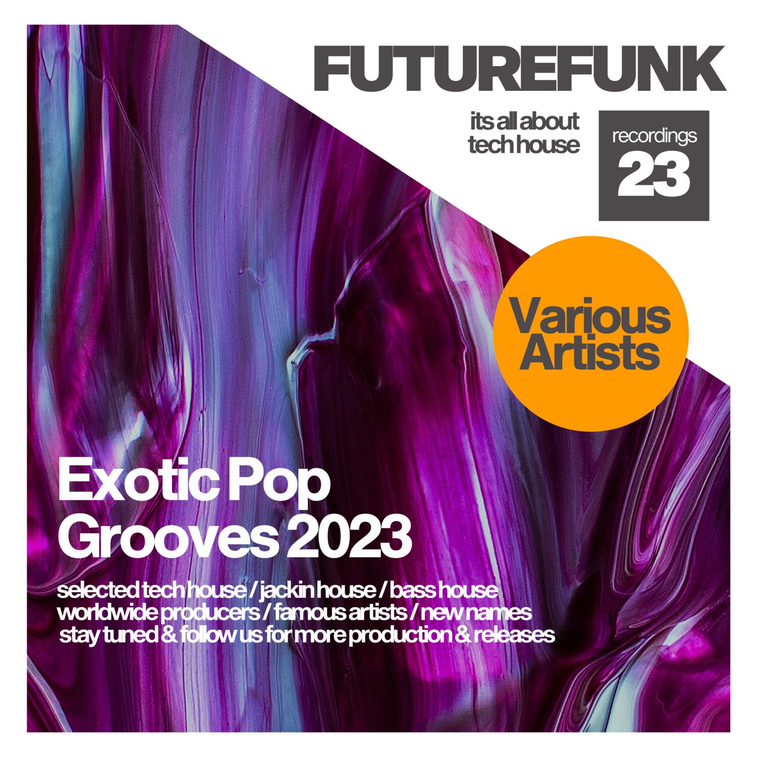 Постер альбома Exotic Pop Grooves 2023