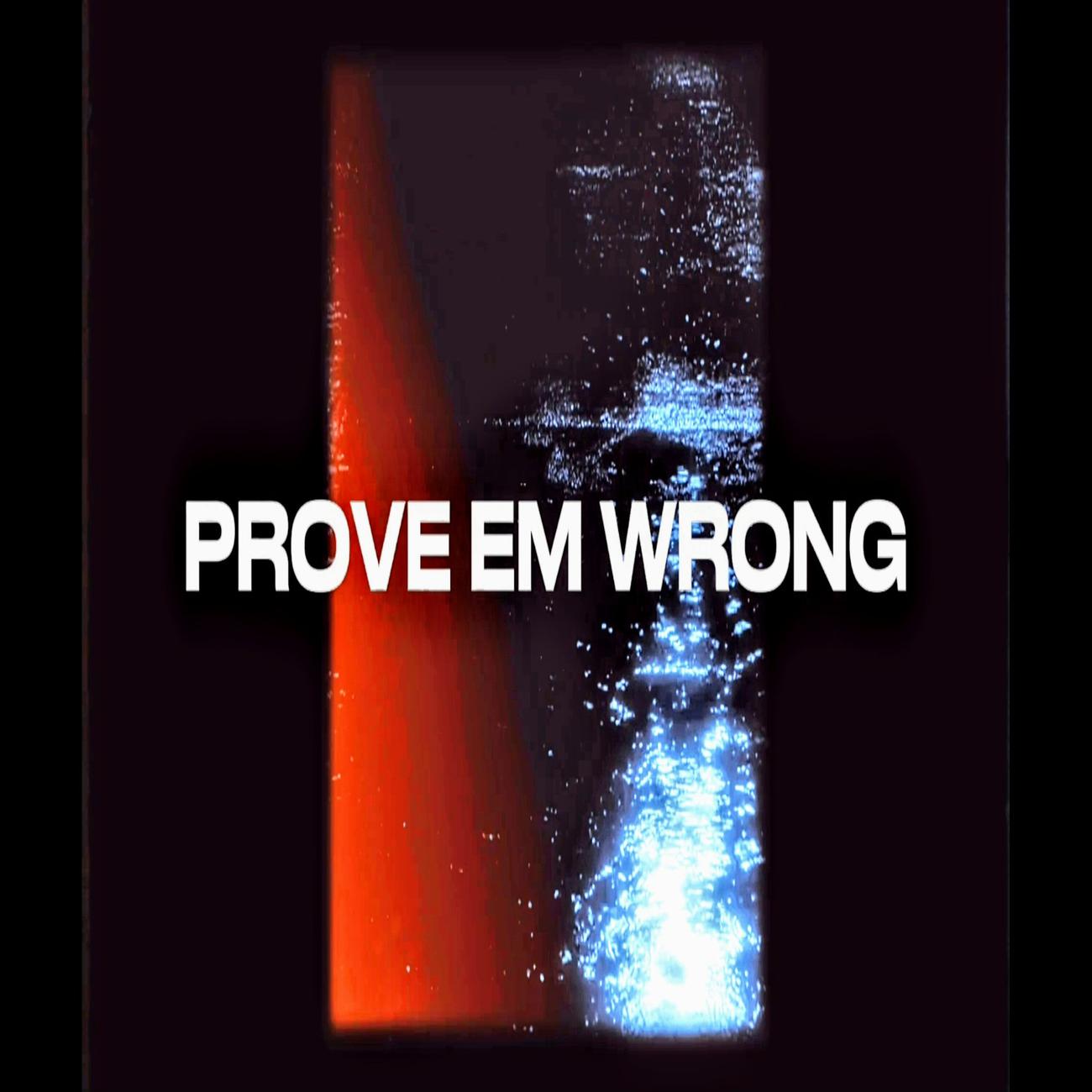 Постер альбома PROVE EM WRONG