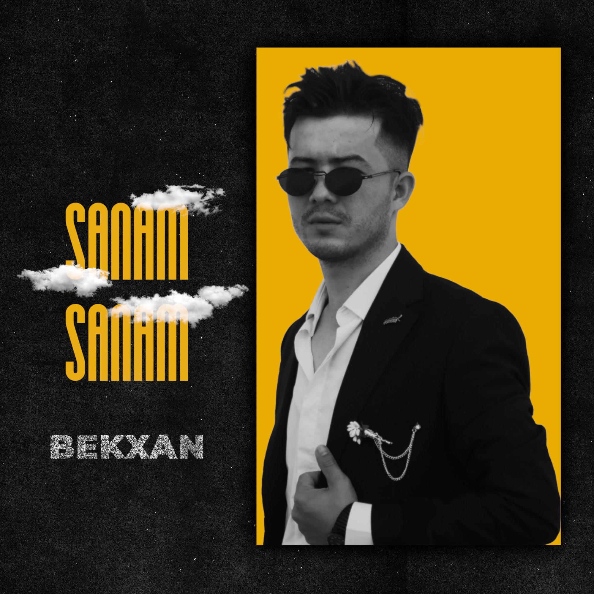 Постер альбома Sanam Sanam