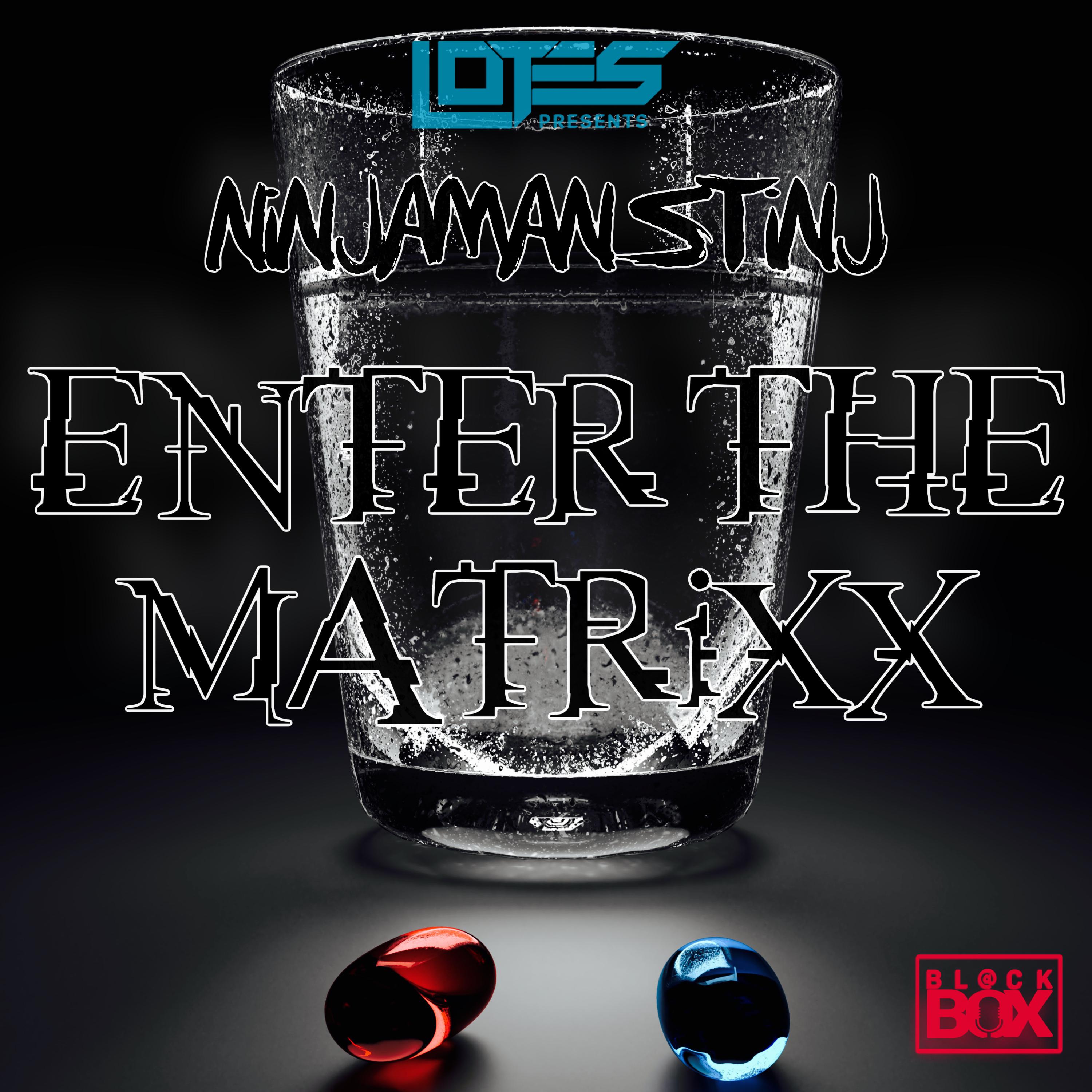 Постер альбома Enter The Matrixx