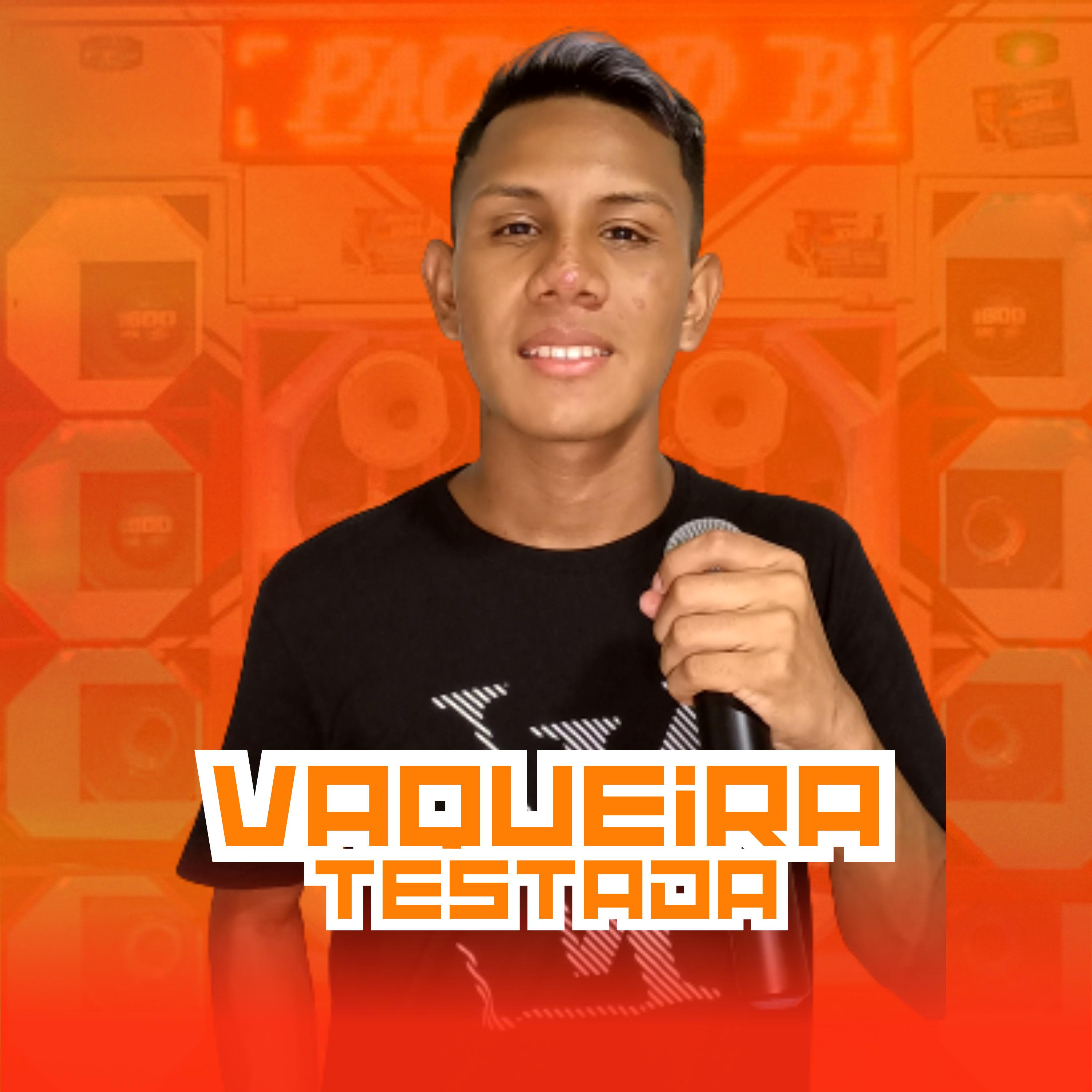 Постер альбома Vaqueira Testada