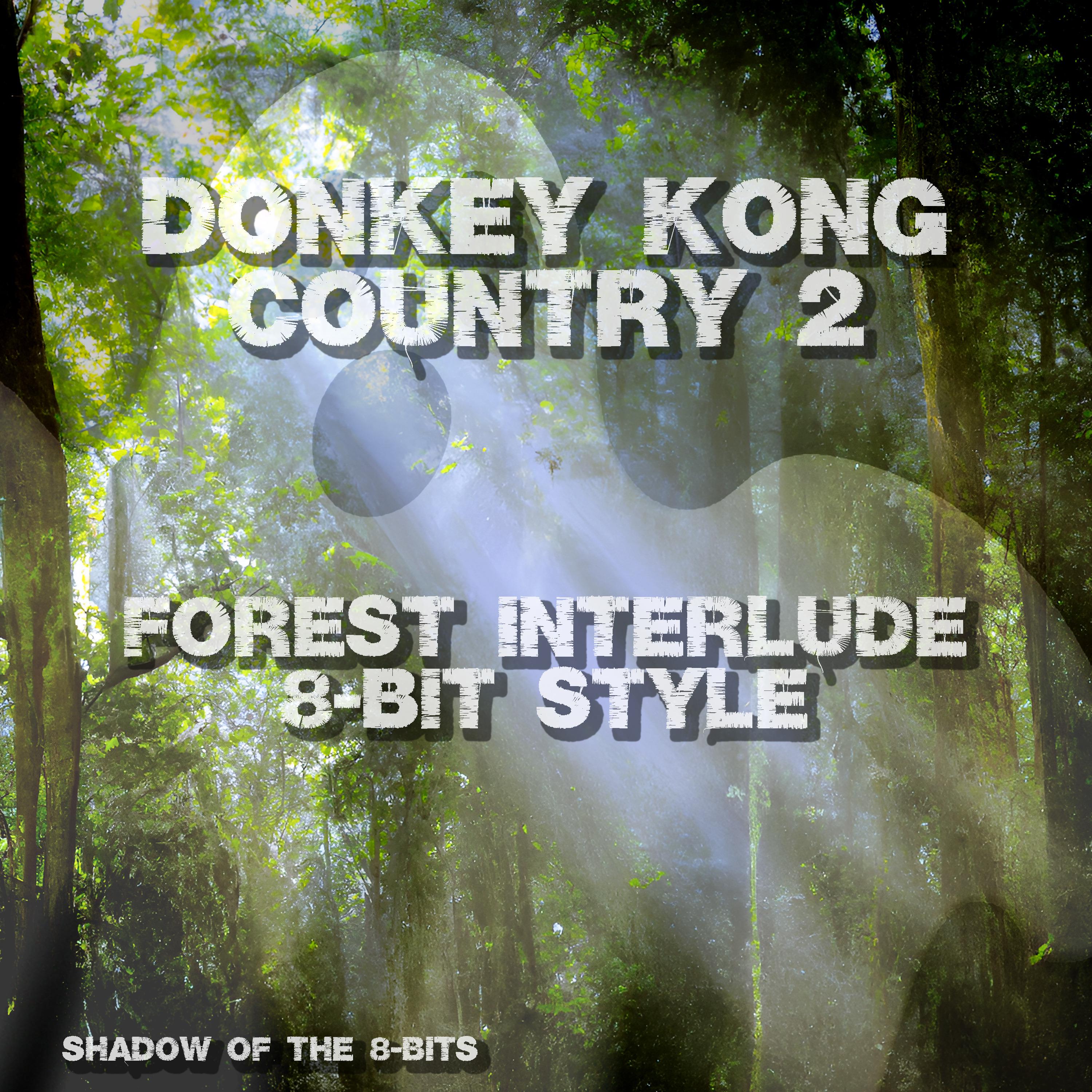 Постер альбома Forest Interlude (Donkey Kong Country 2)