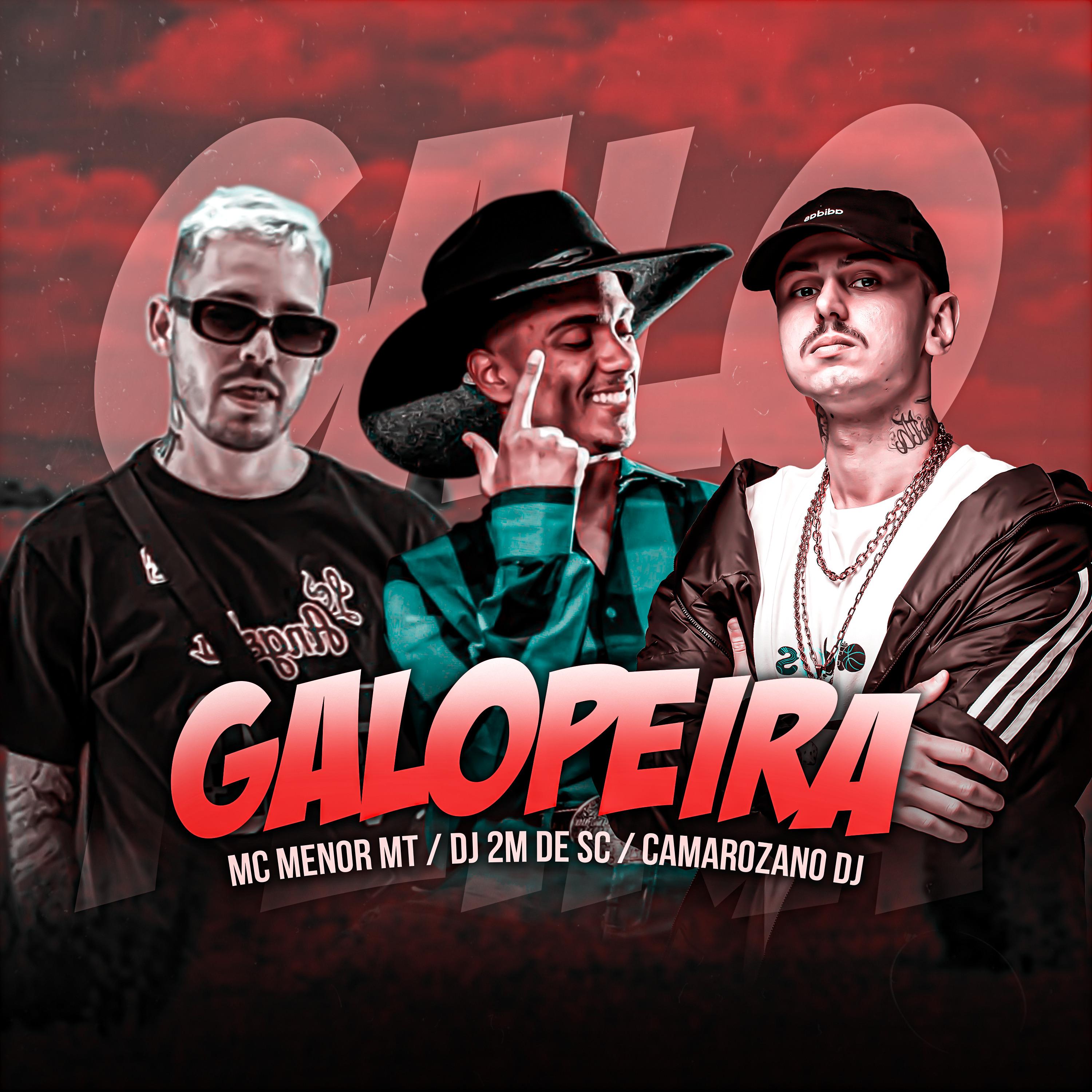 Постер альбома Galopeira