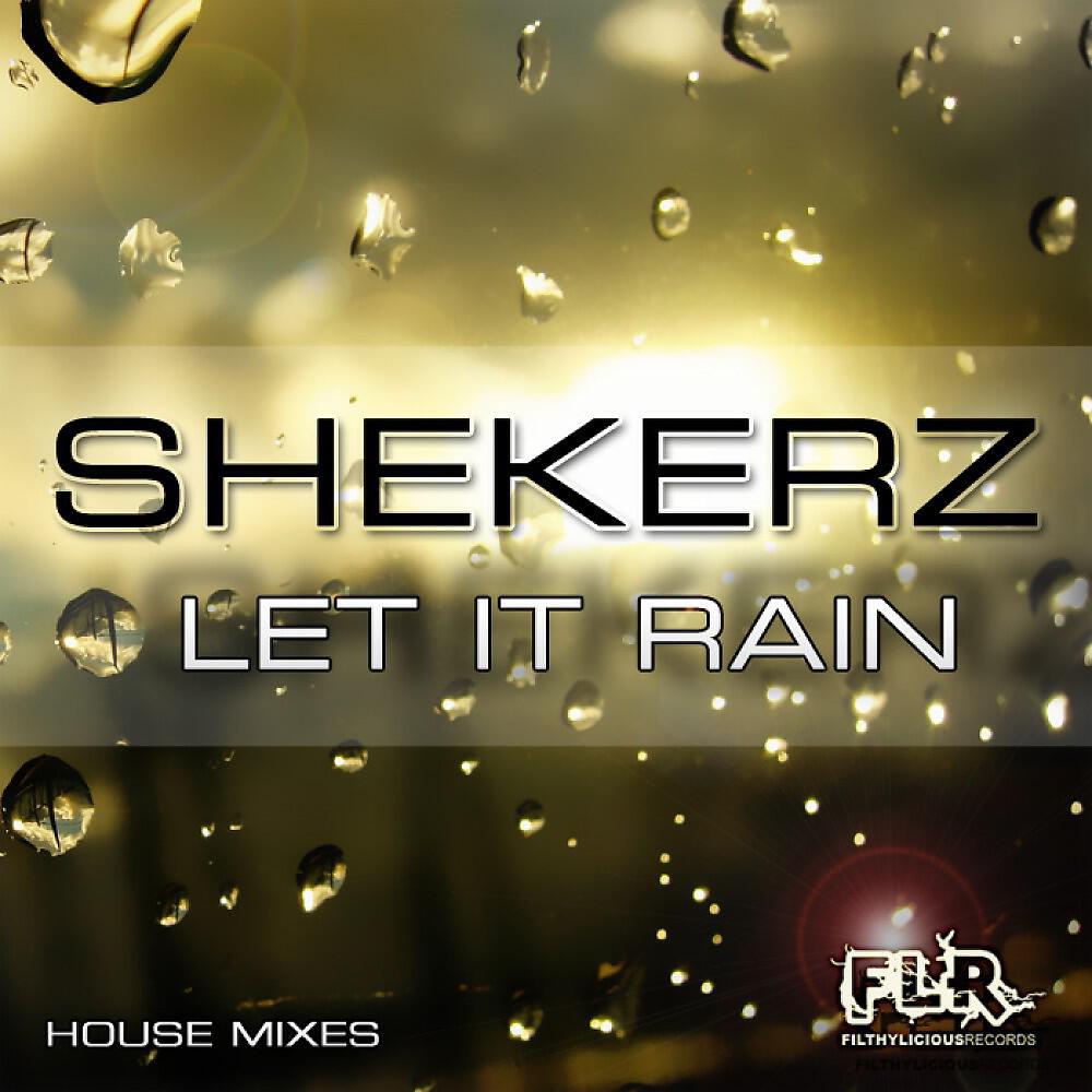 Shekerz - Let It Rain (Subject Delta Vs Discobastardz Remix)