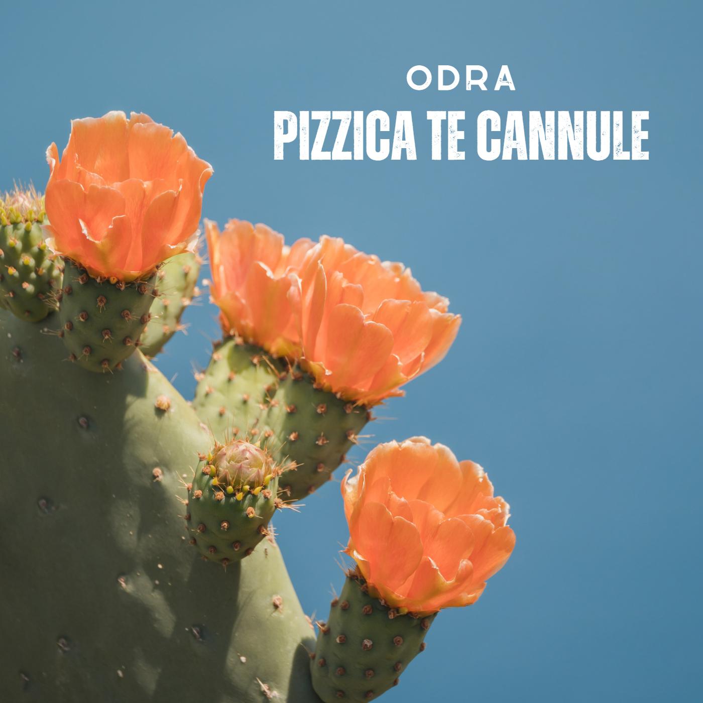 Постер альбома Pizzica te cannule